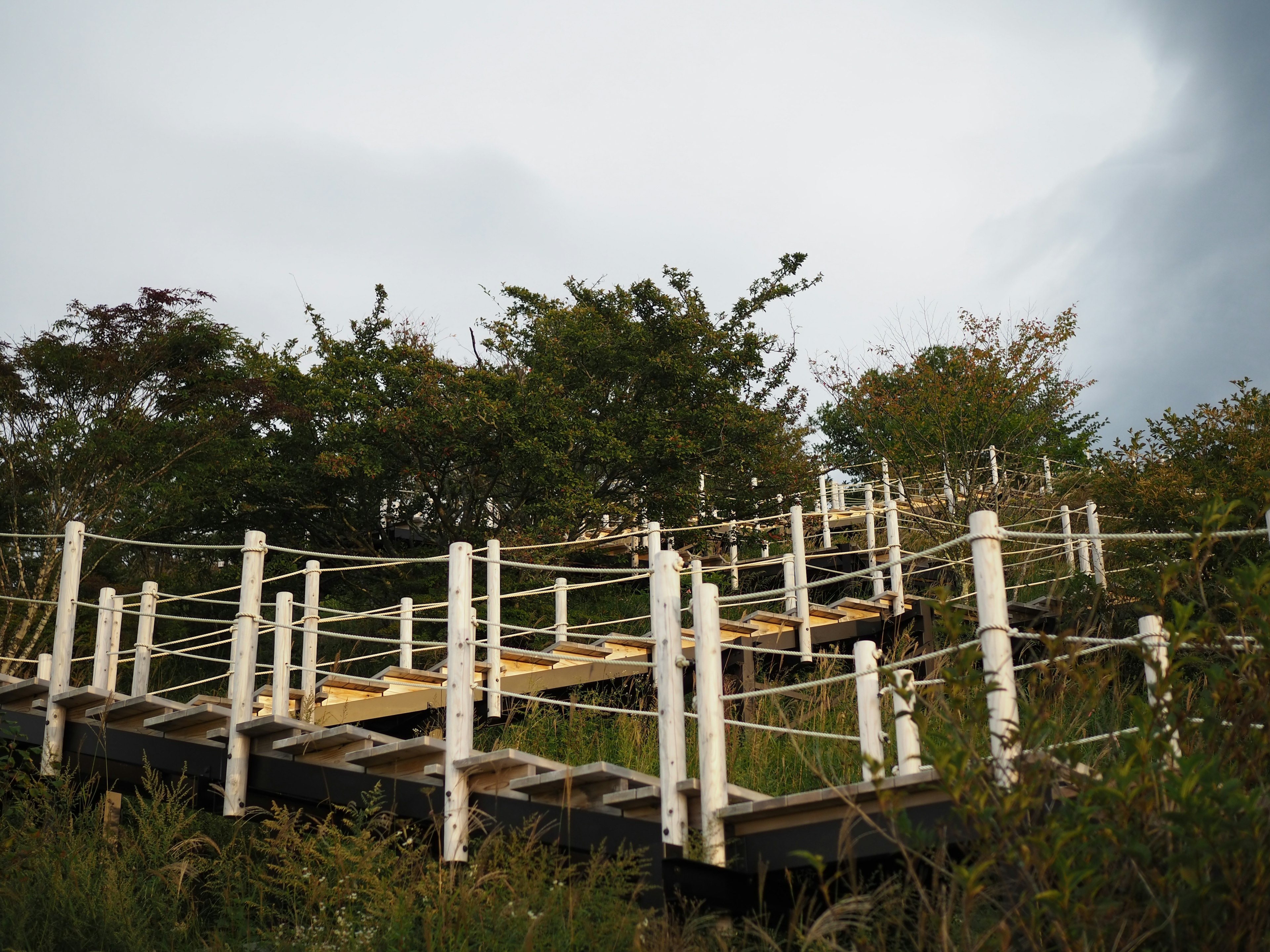 Pasarela de madera rodeada de vegetación exuberante y cielo nublado