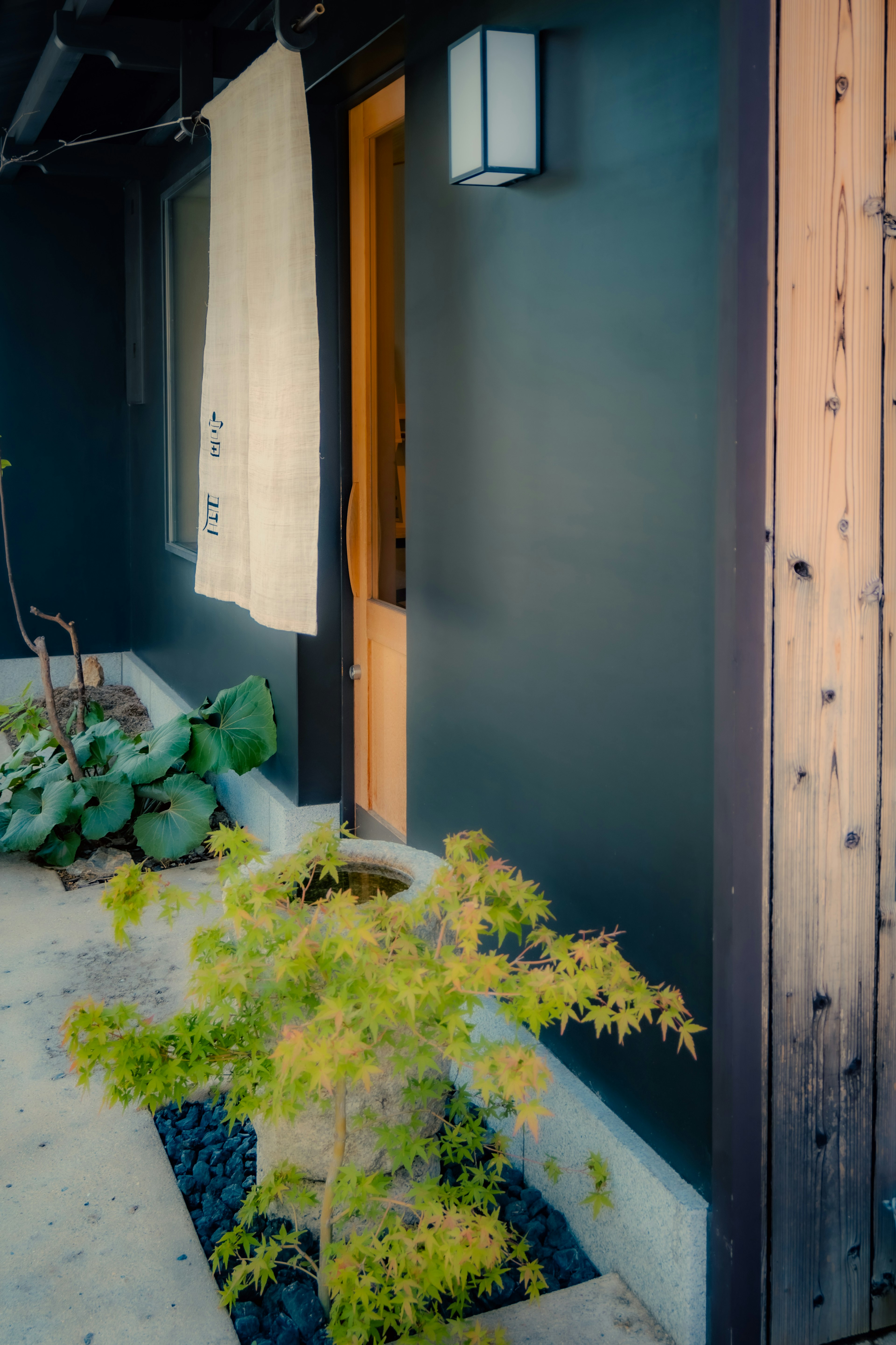 Japanese-style entrance with a black wall and wooden door featuring green plants