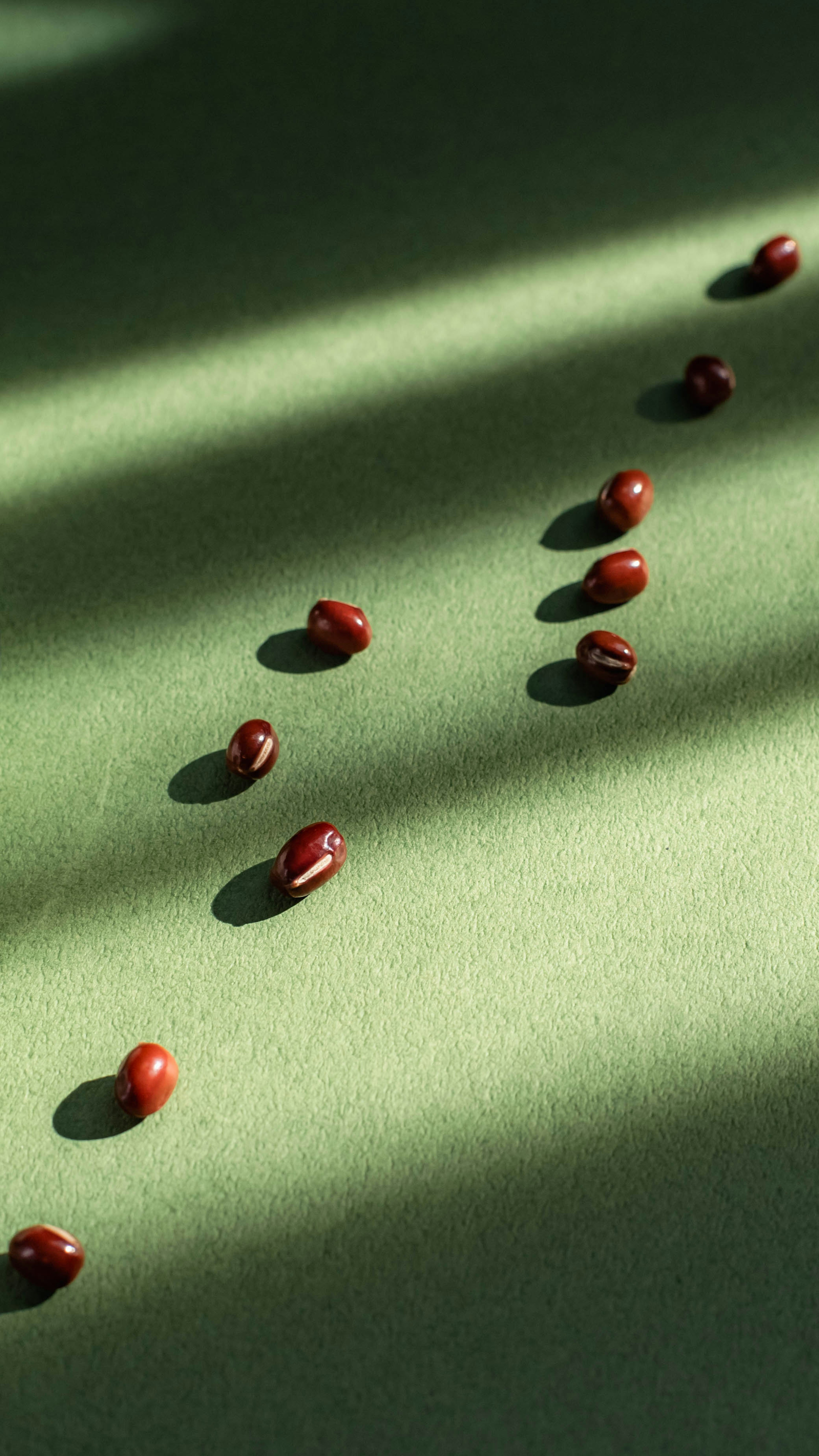 Frijoles rojos dispuestos sobre un fondo verde con contraste de luz y sombra