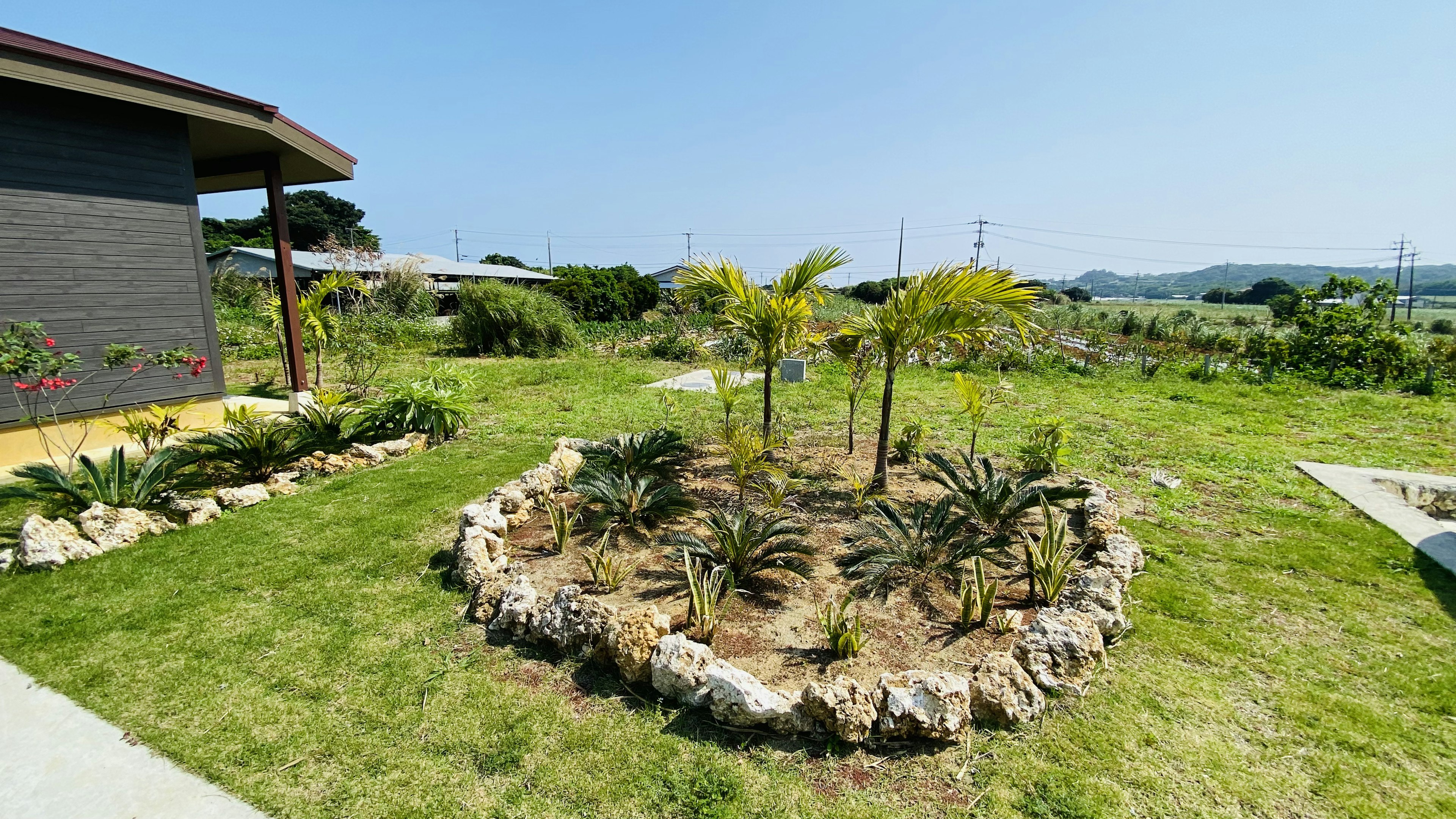 美しい庭園の景色 緑の芝生と石の花壇に囲まれた小さな木々