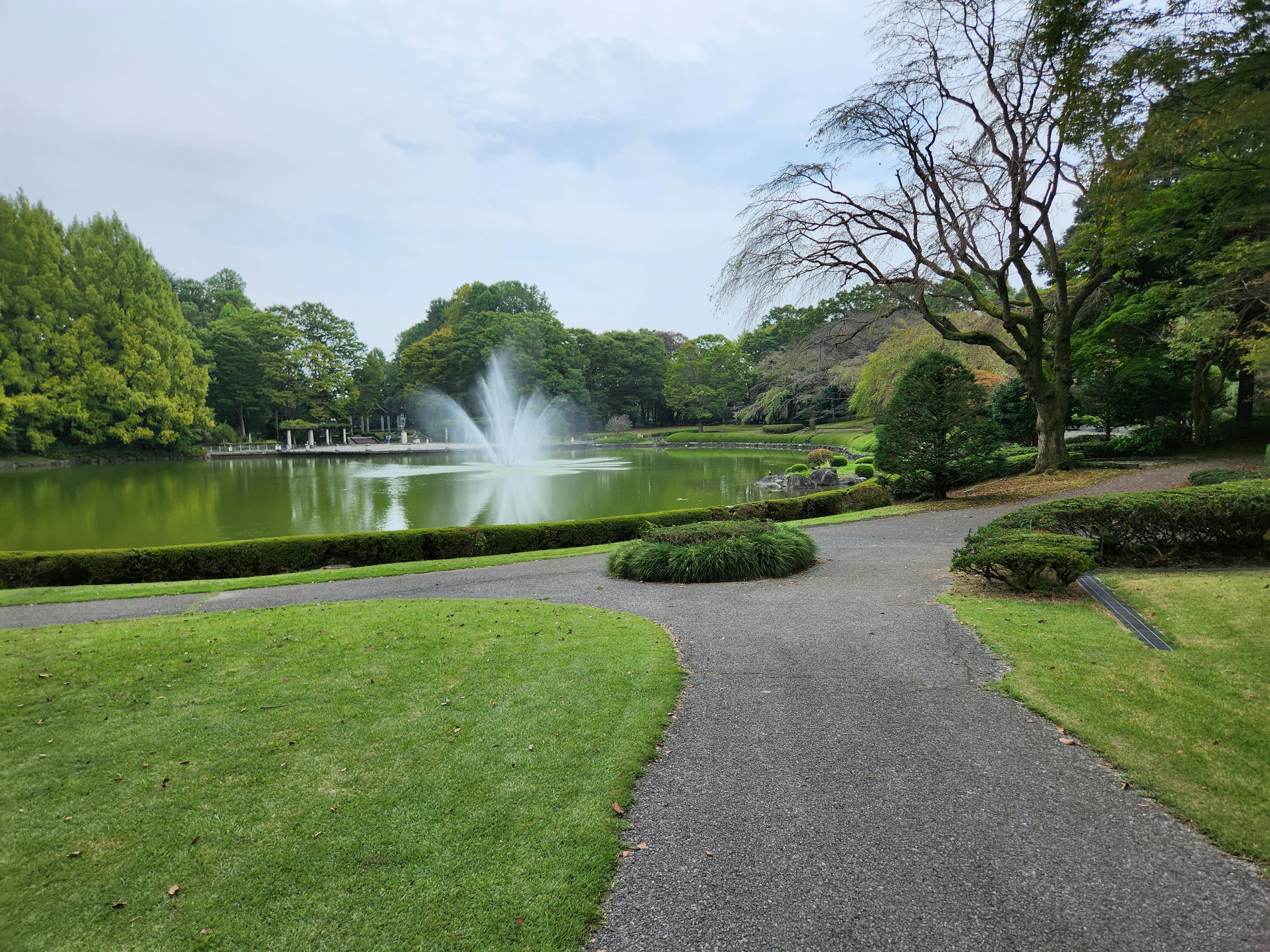 Vista escénica de un parque con césped verde y una fuente en un estanque tranquilo