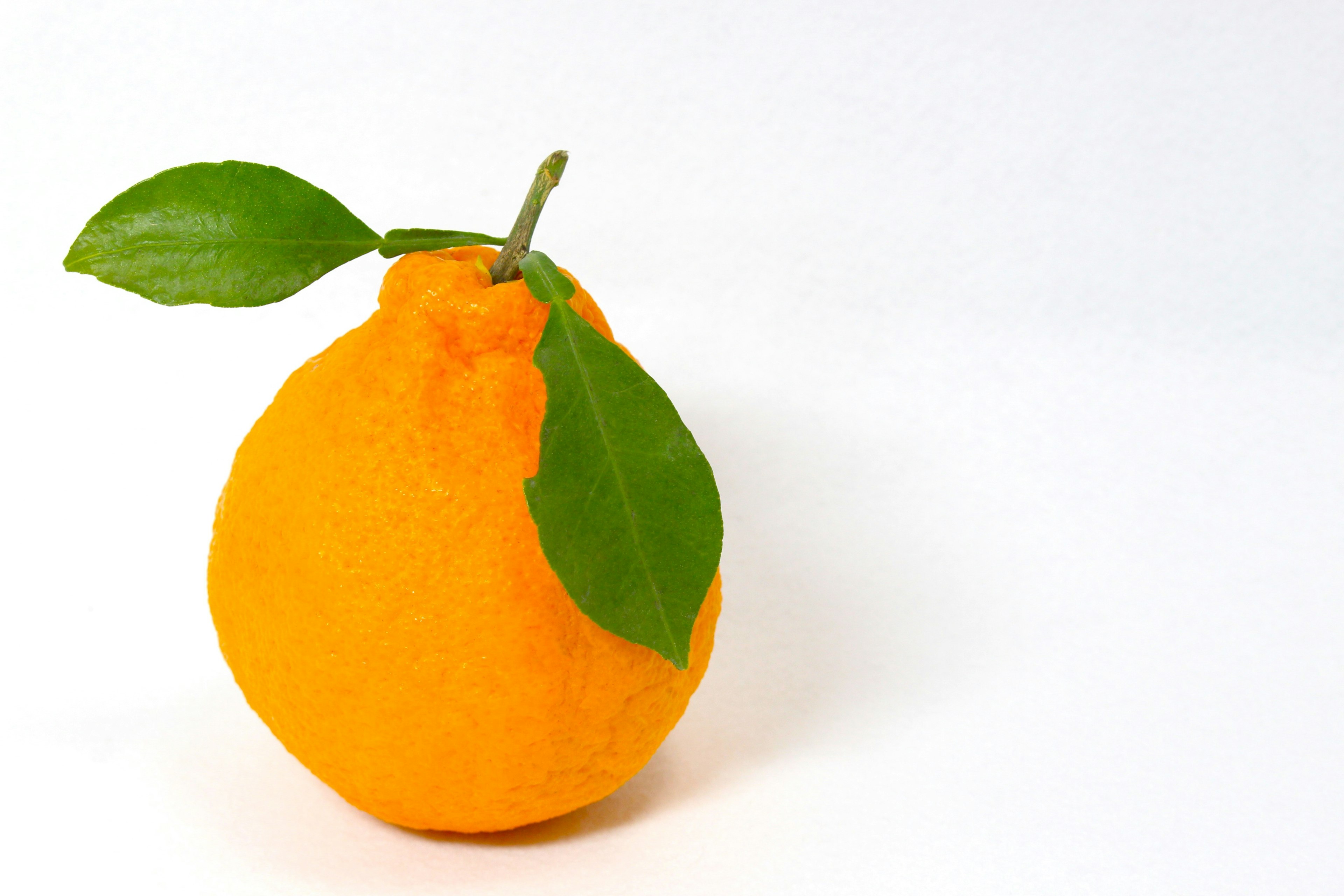 Vibrant image of an orange fruit with green leaves attached