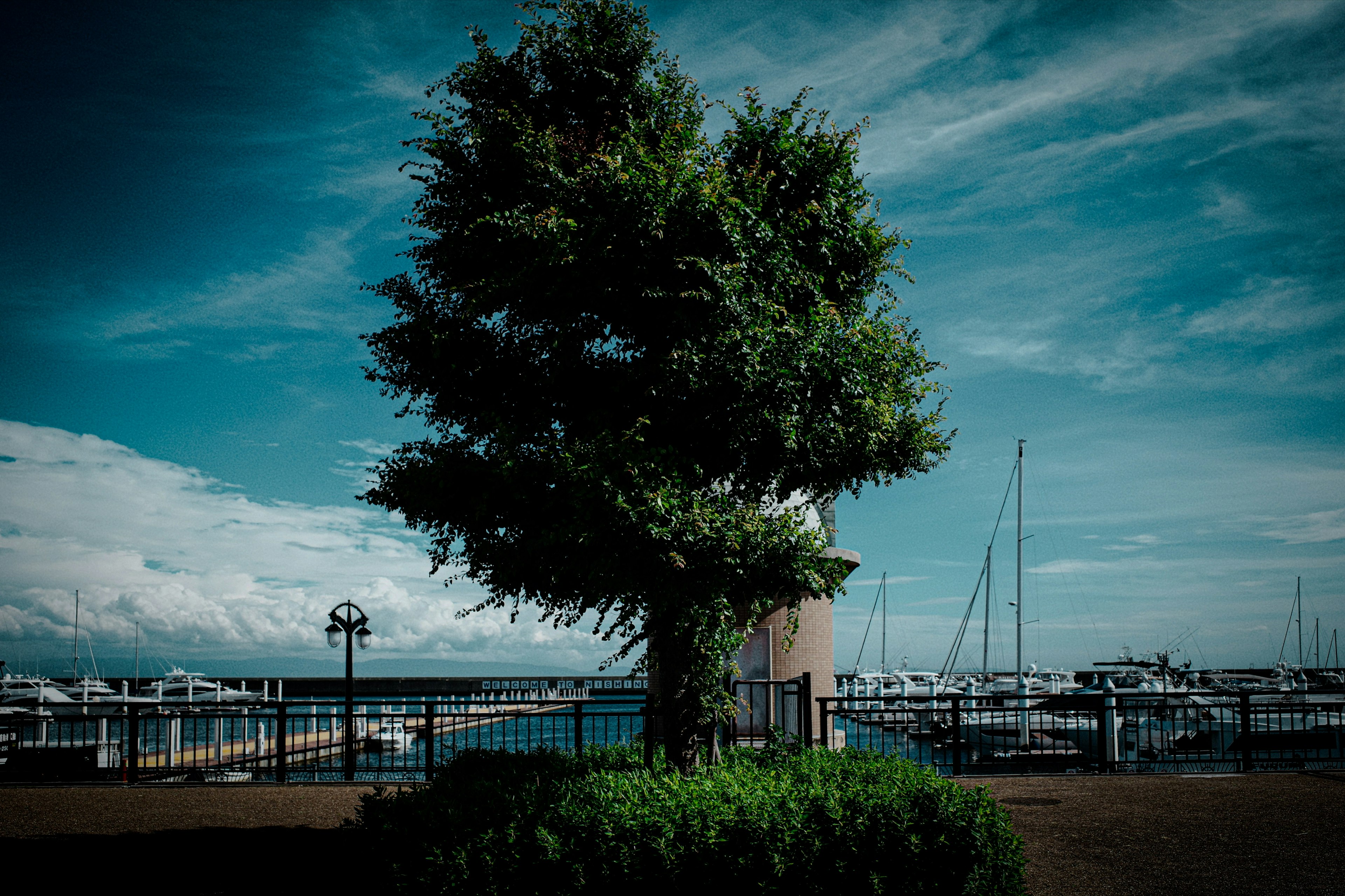 photo-KIGA6GGEReHpWGWrvHPh-image