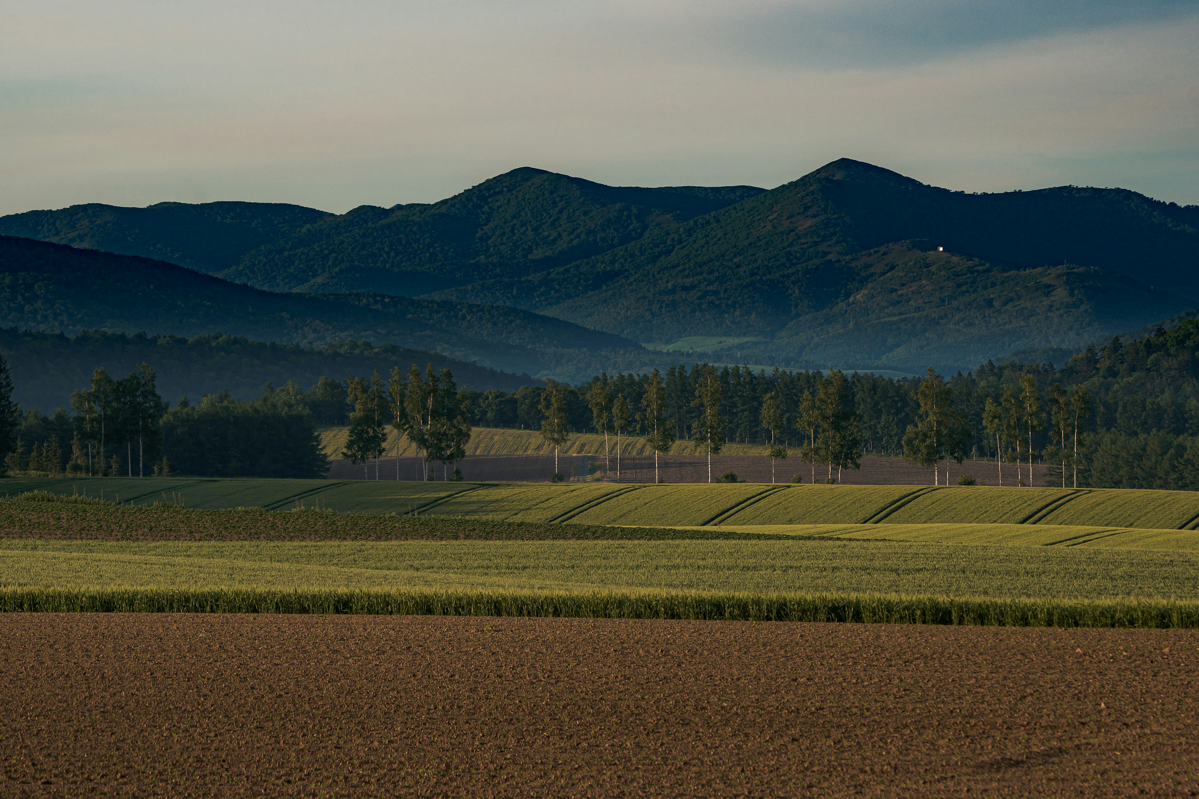 Scenic view of blue mountains and green fields