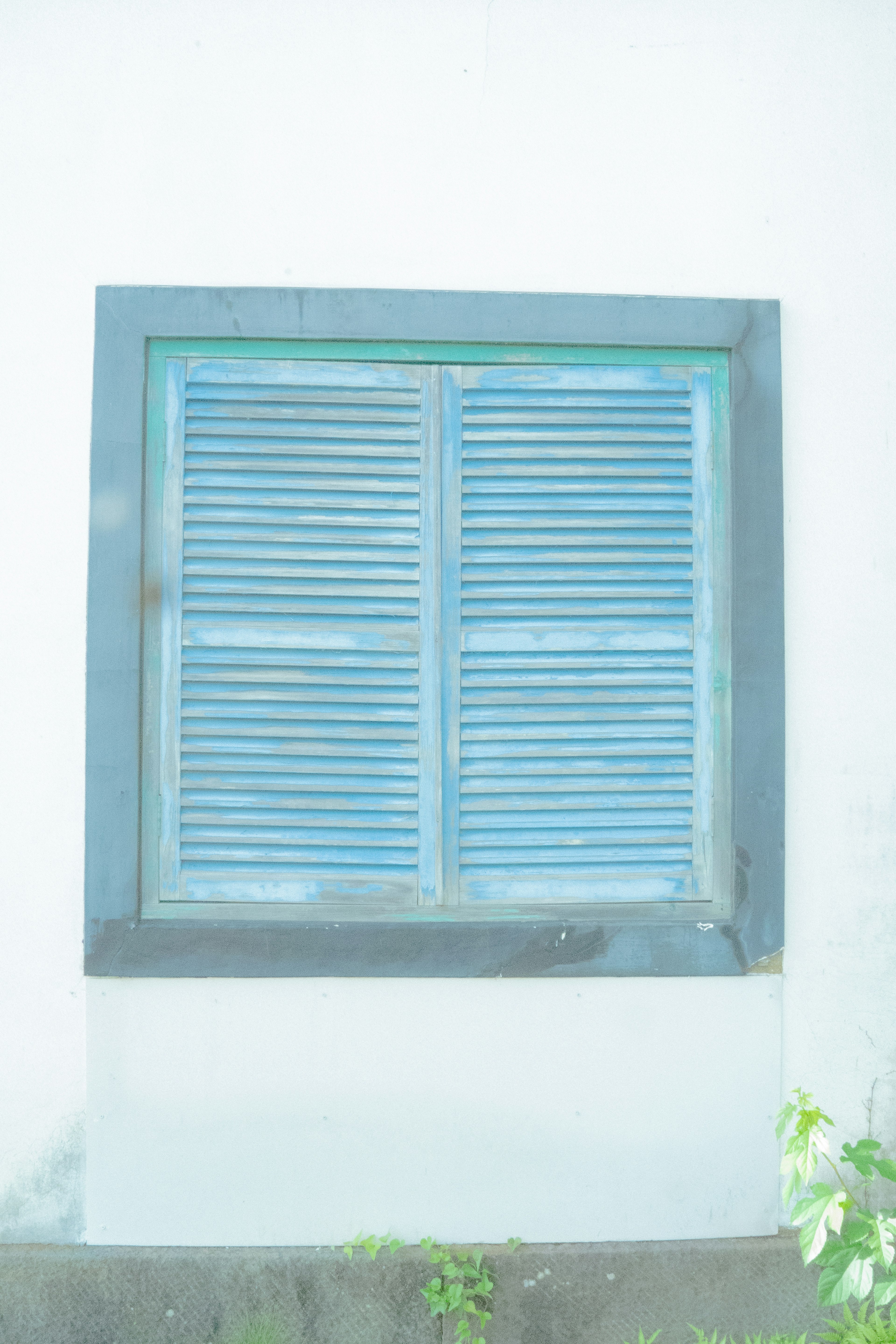 Ventana con contraventanas azules enmarcadas en gris sobre una pared blanca