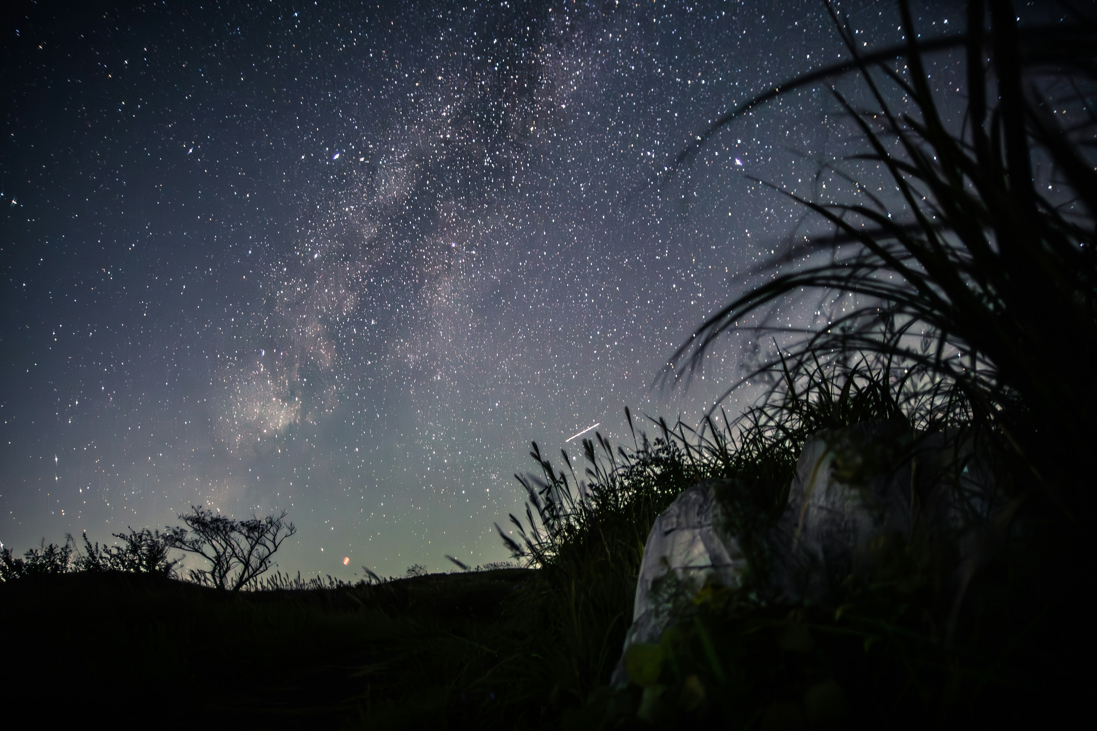 Paisaje nocturno con un hermoso cielo estrellado y la Vía Láctea con hierba en primer plano