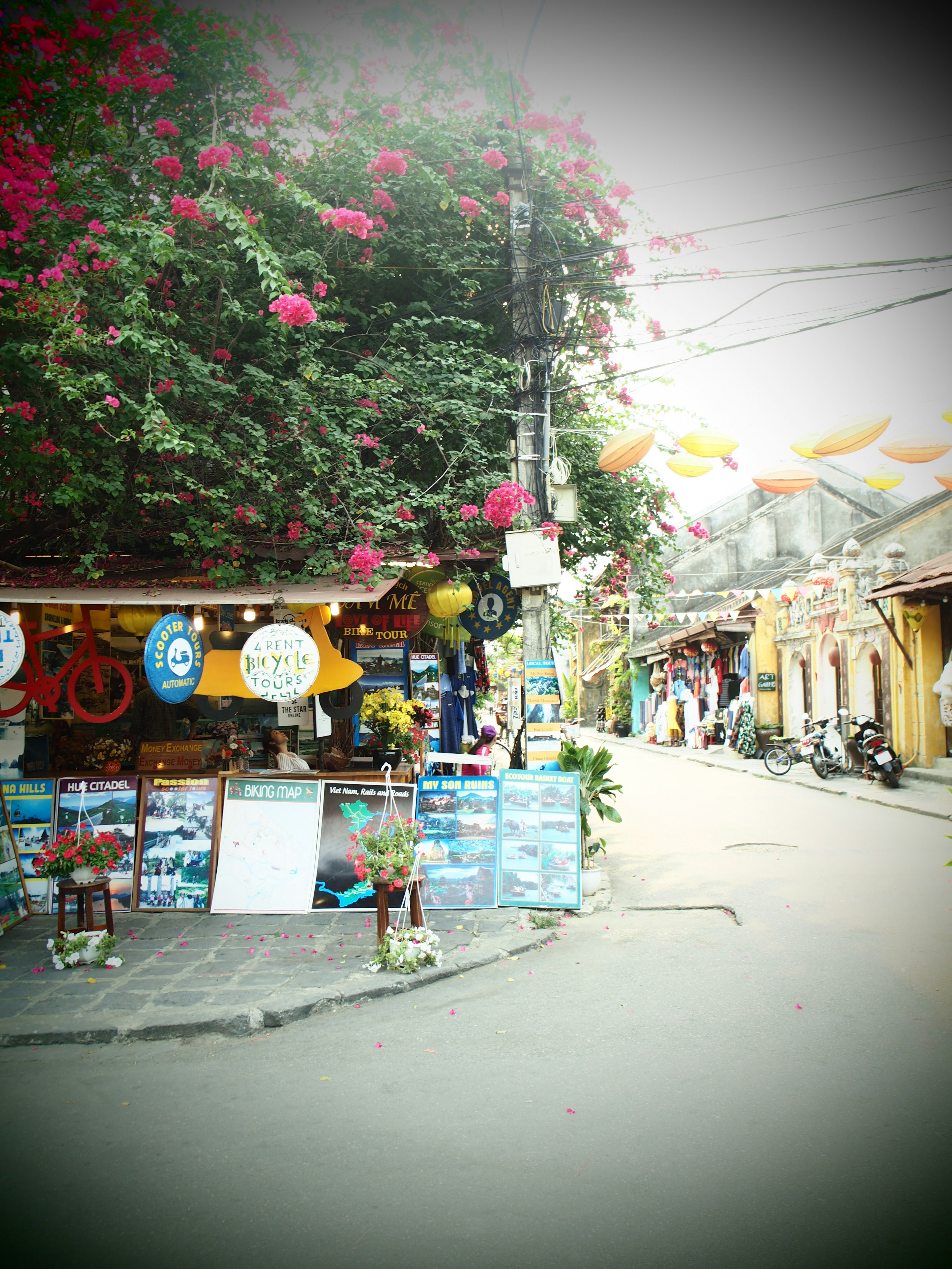 Colorful flowers at a street corner cafe and shops