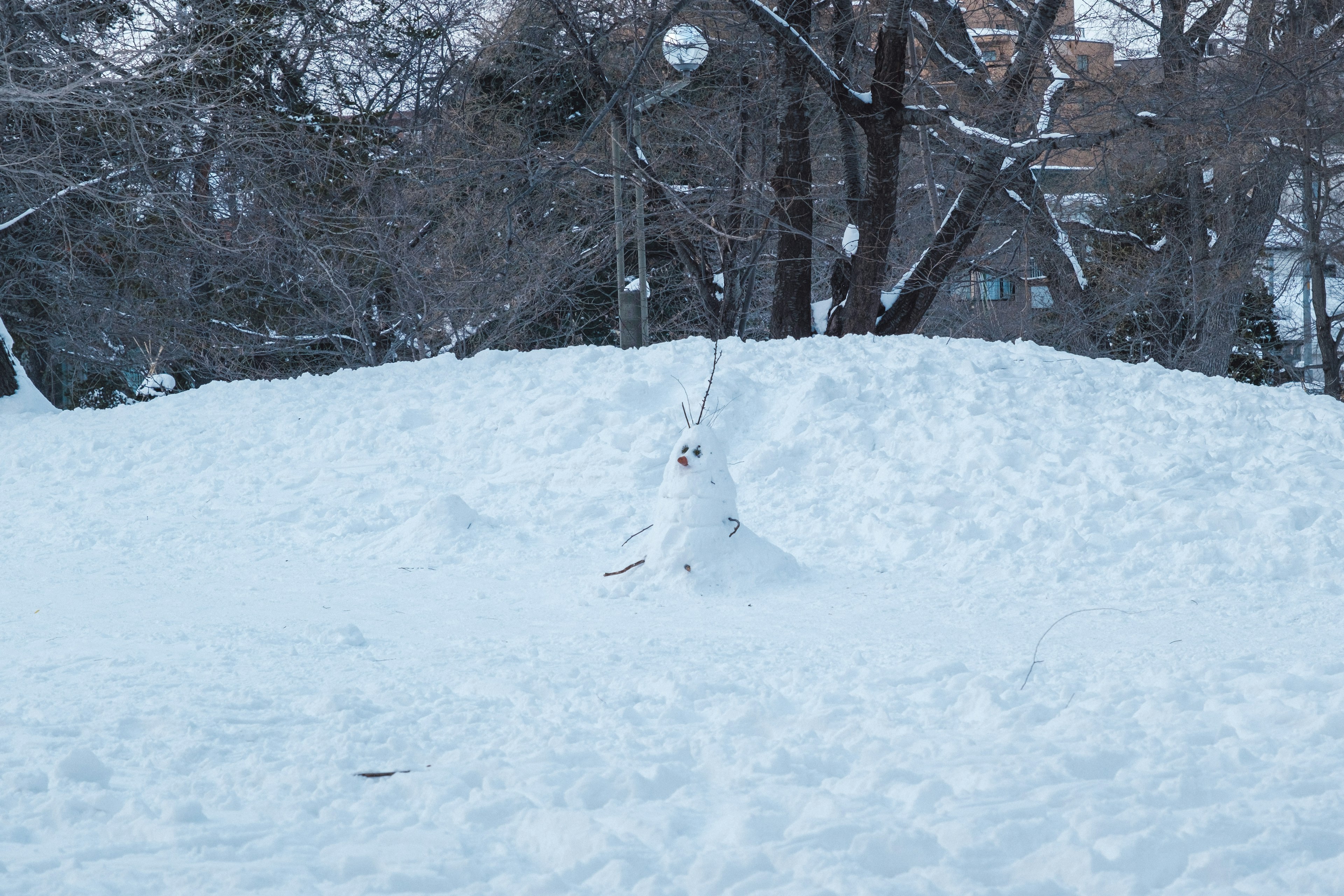 Escena de parque cubierto de nieve con un montículo de nieve y árboles