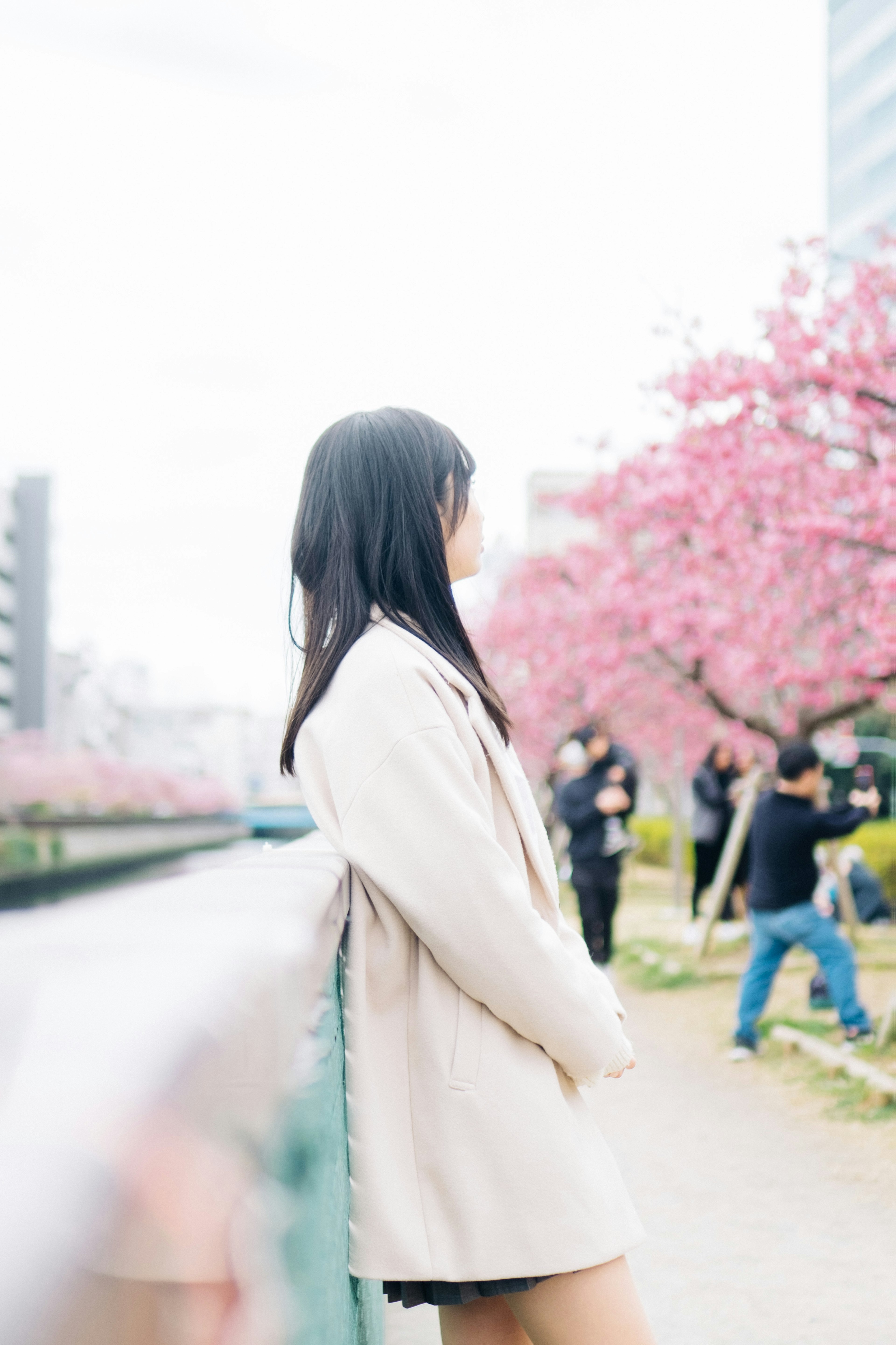 桜の木の前に立つ女性の後ろ姿