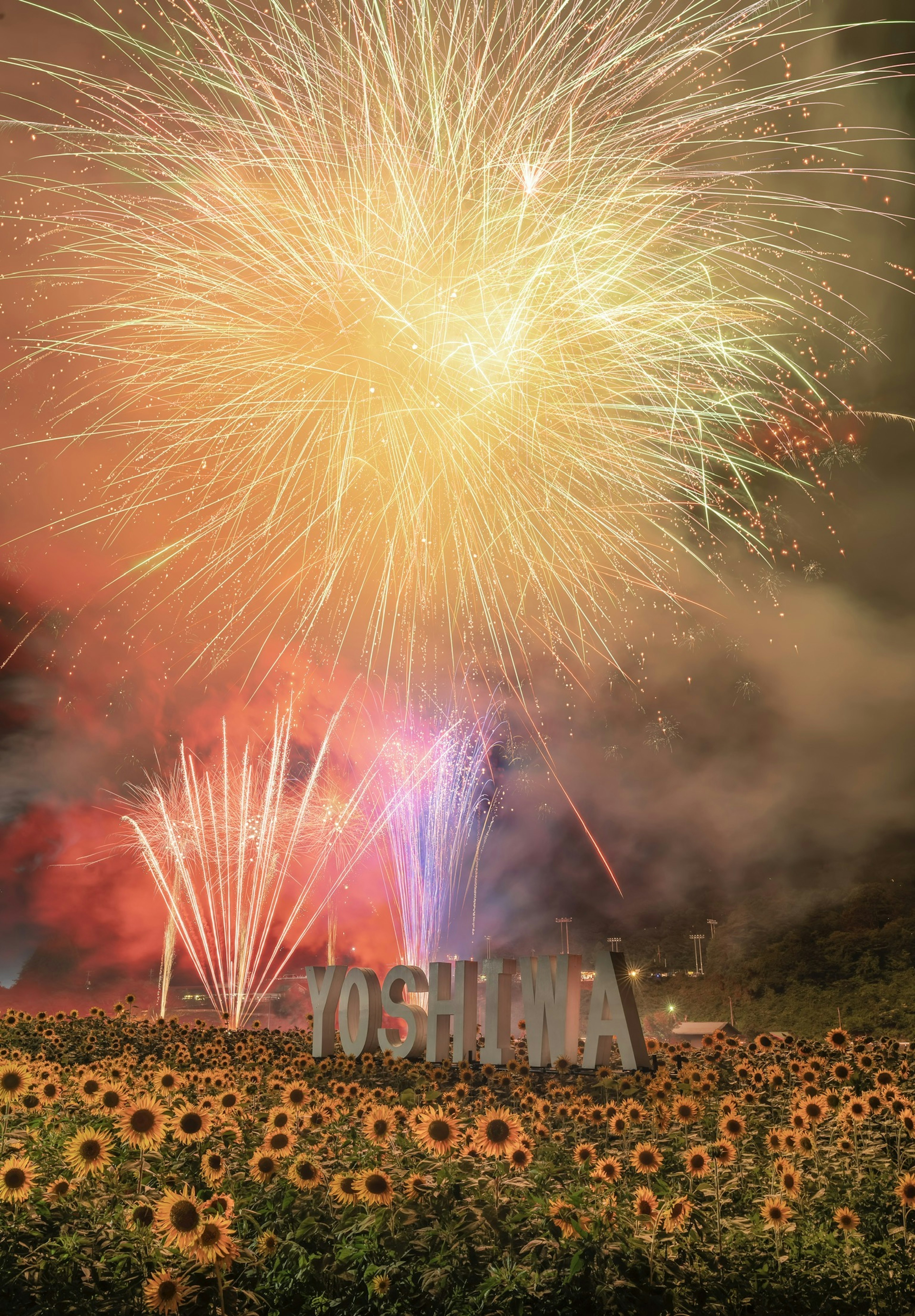 Espectáculo de fuegos artificiales sobre un campo de girasoles con la palabra YOSHIMA