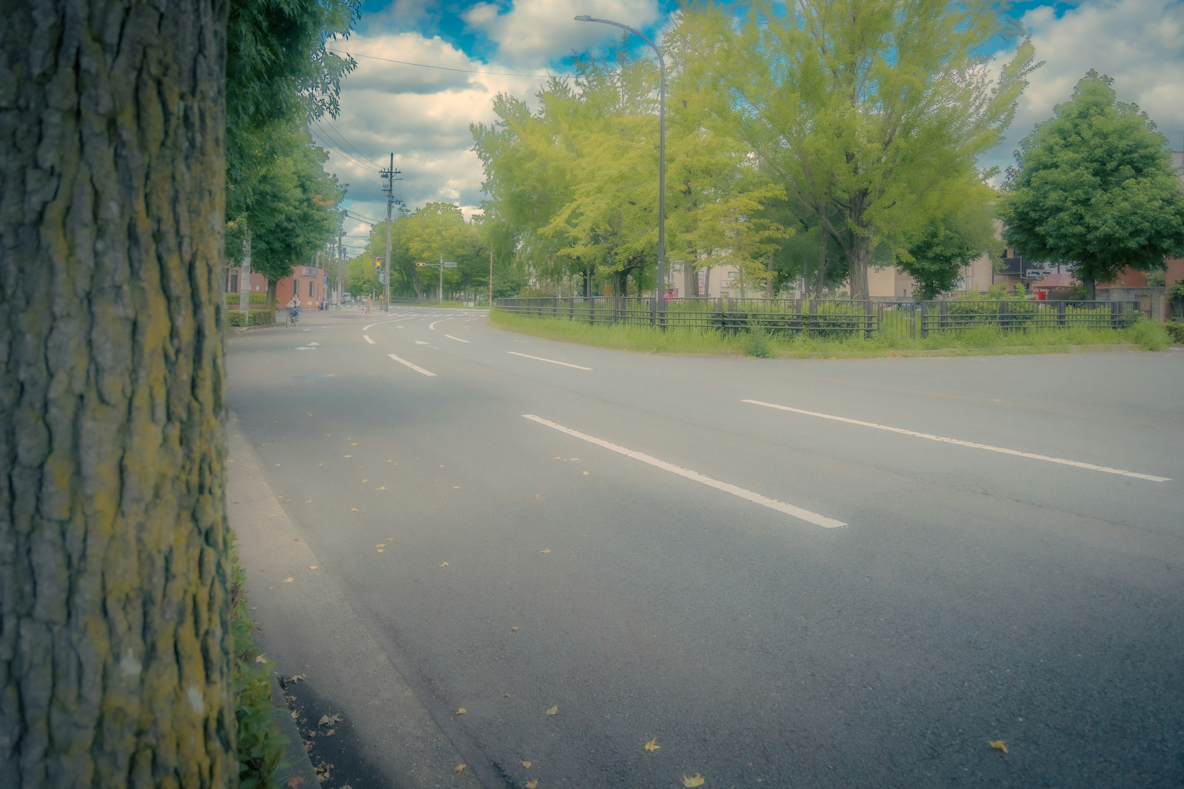 緑の木々に囲まれた穏やかな街の通りの風景