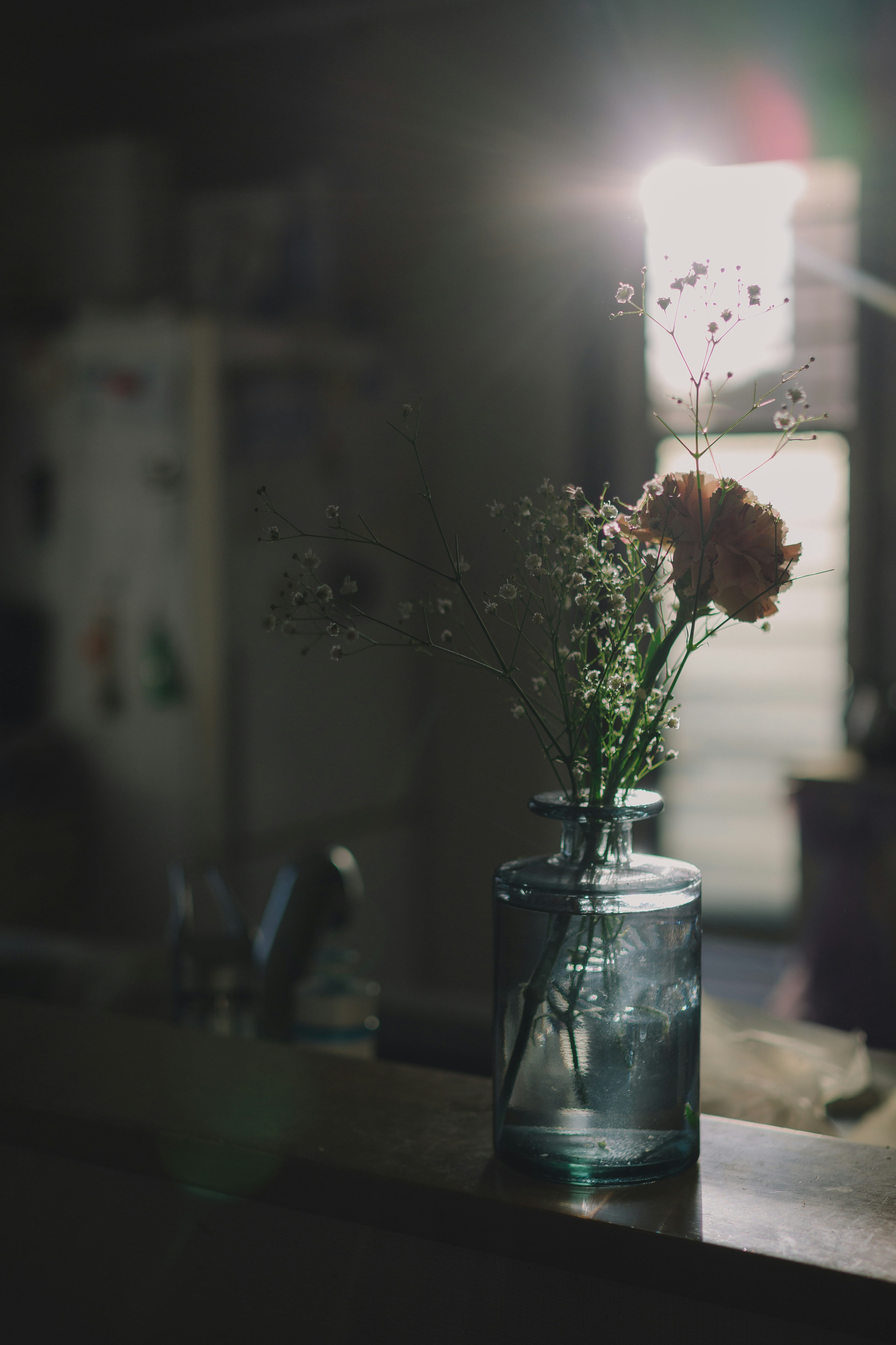 Une belle scène d'un vase avec des fleurs dans une lumière douce