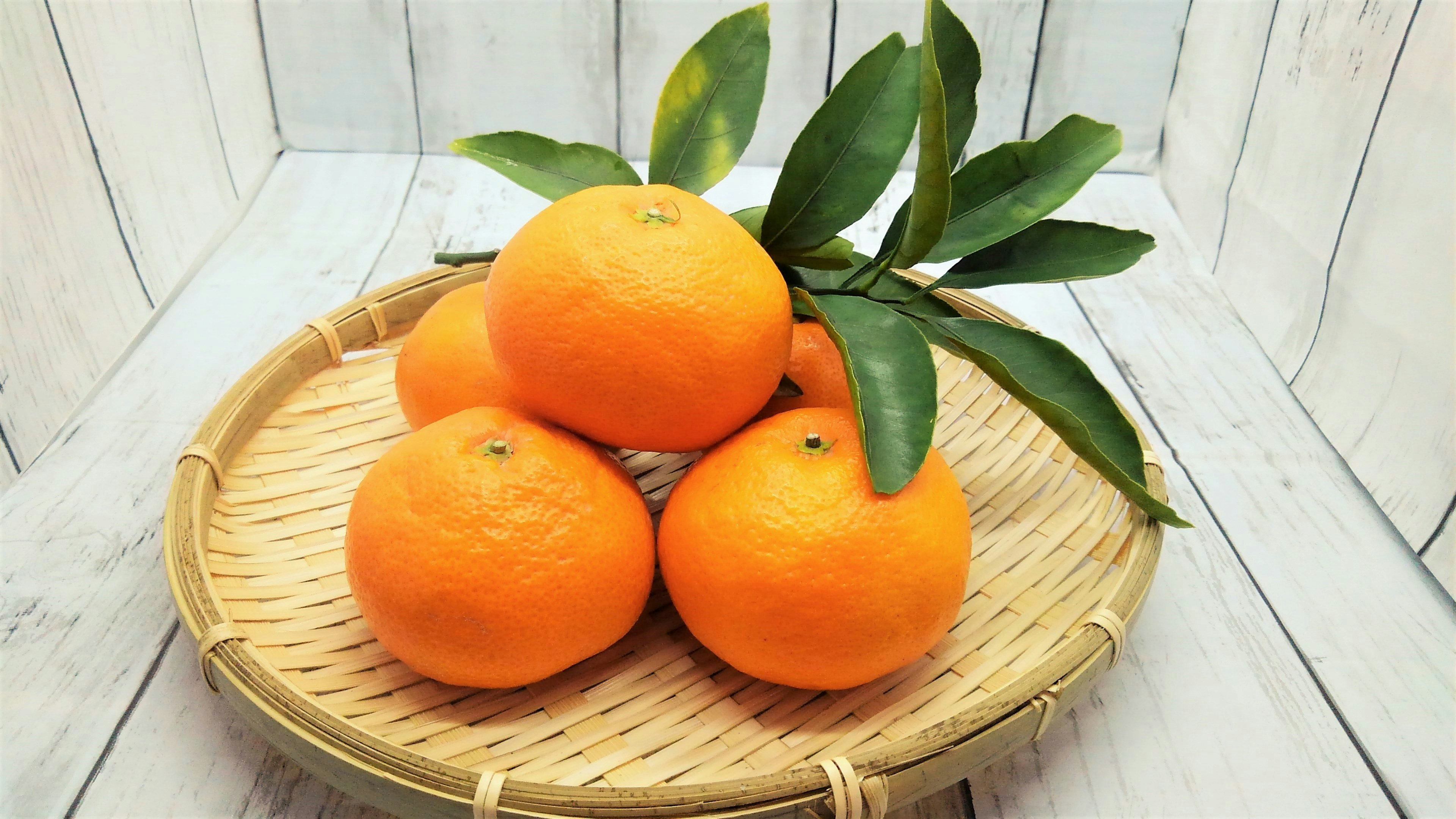 Oranges fraîches avec des feuilles vertes disposées dans un panier tressé