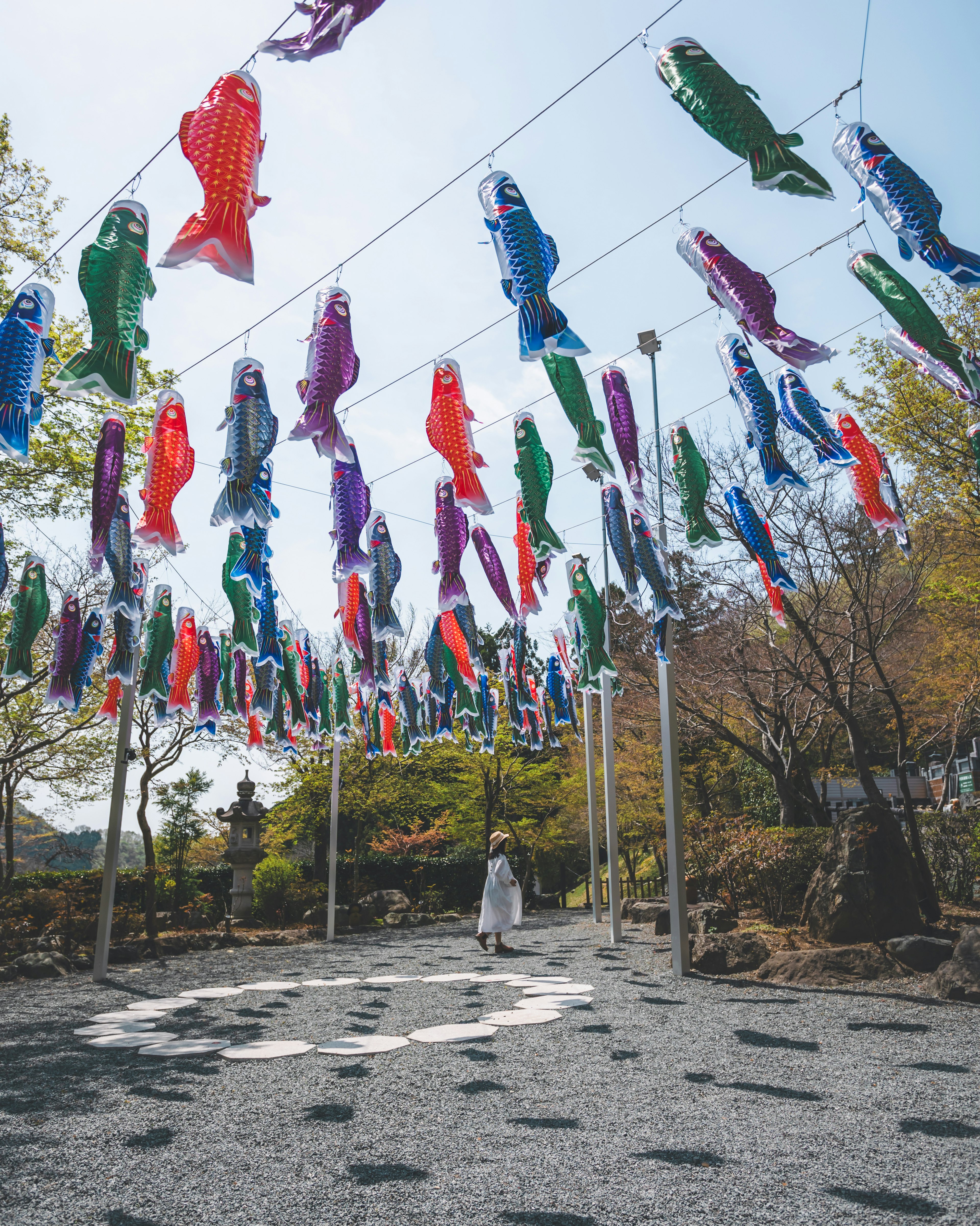 Colorate bandiere koi nobori appese in un parco sotto un cielo sereno