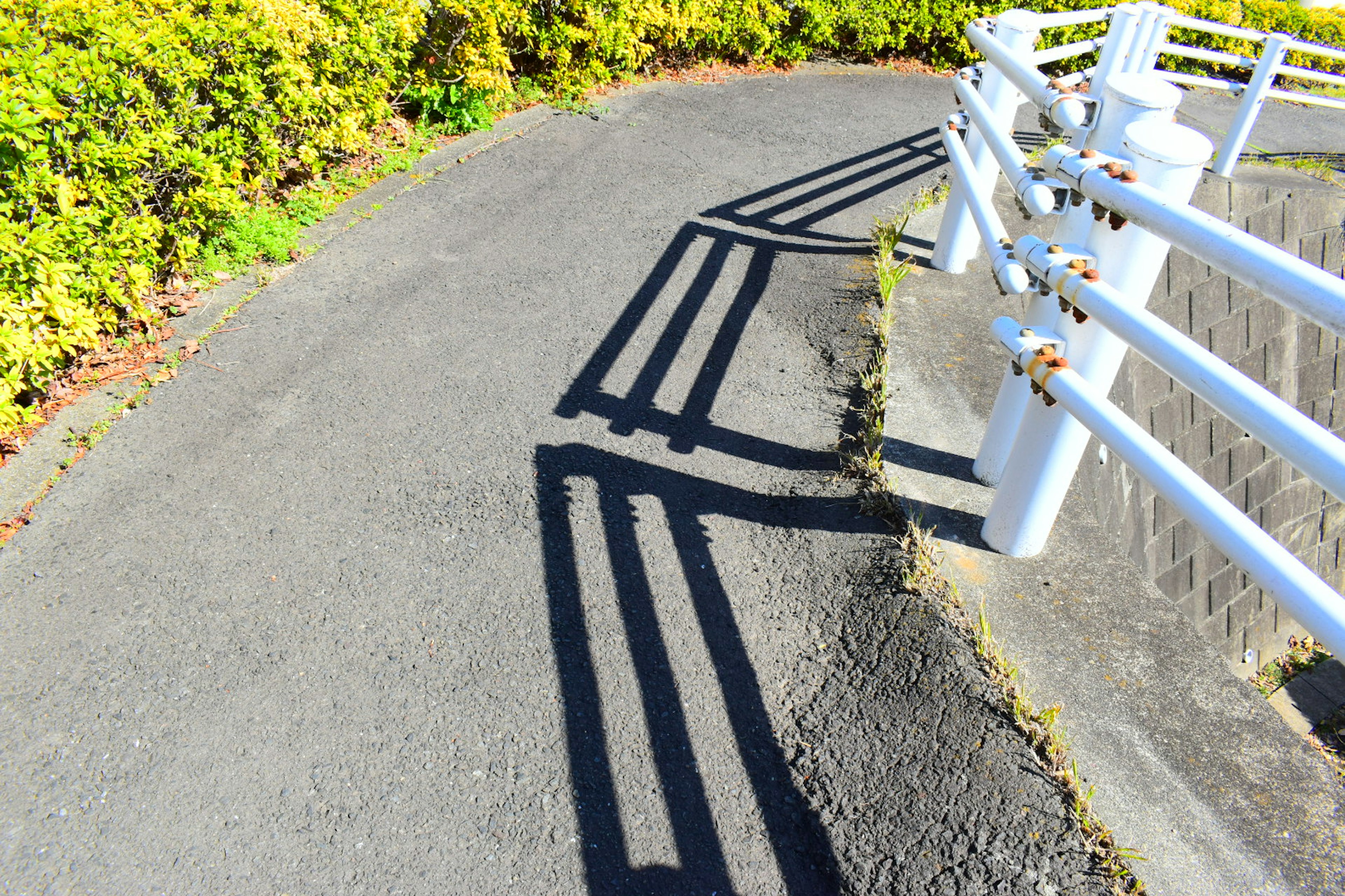 Camino curvado con sombras de una cerca blanca