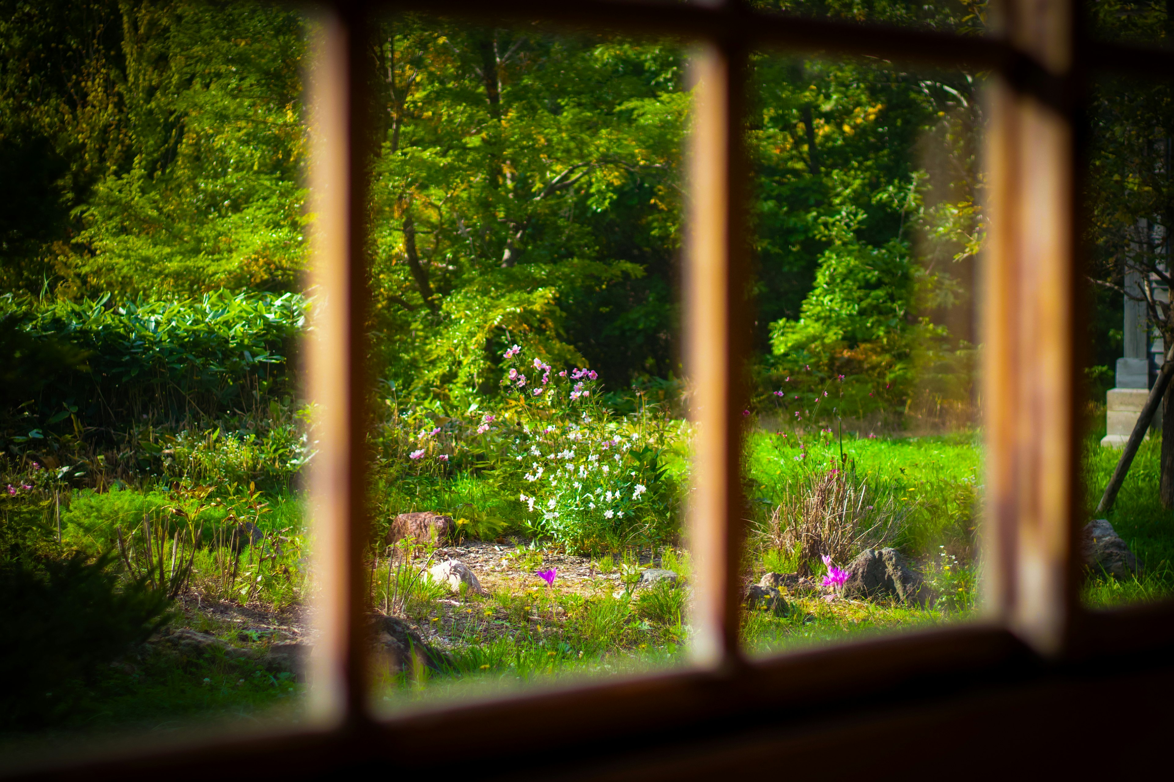 Vue d'un jardin verdoyant et de fleurs à travers une fenêtre