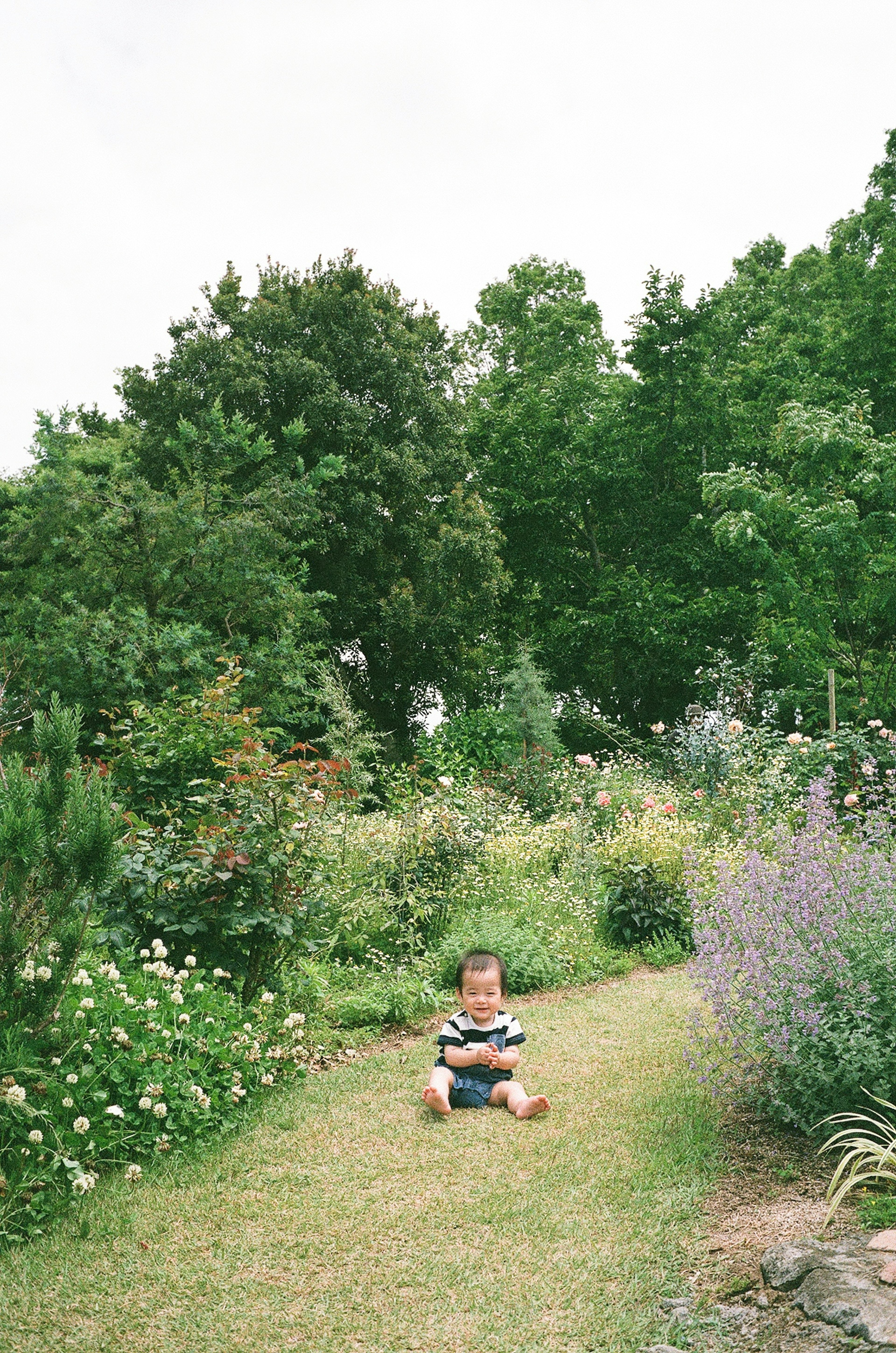 Un enfant assis dans un jardin luxuriant entouré de fleurs et d'arbres