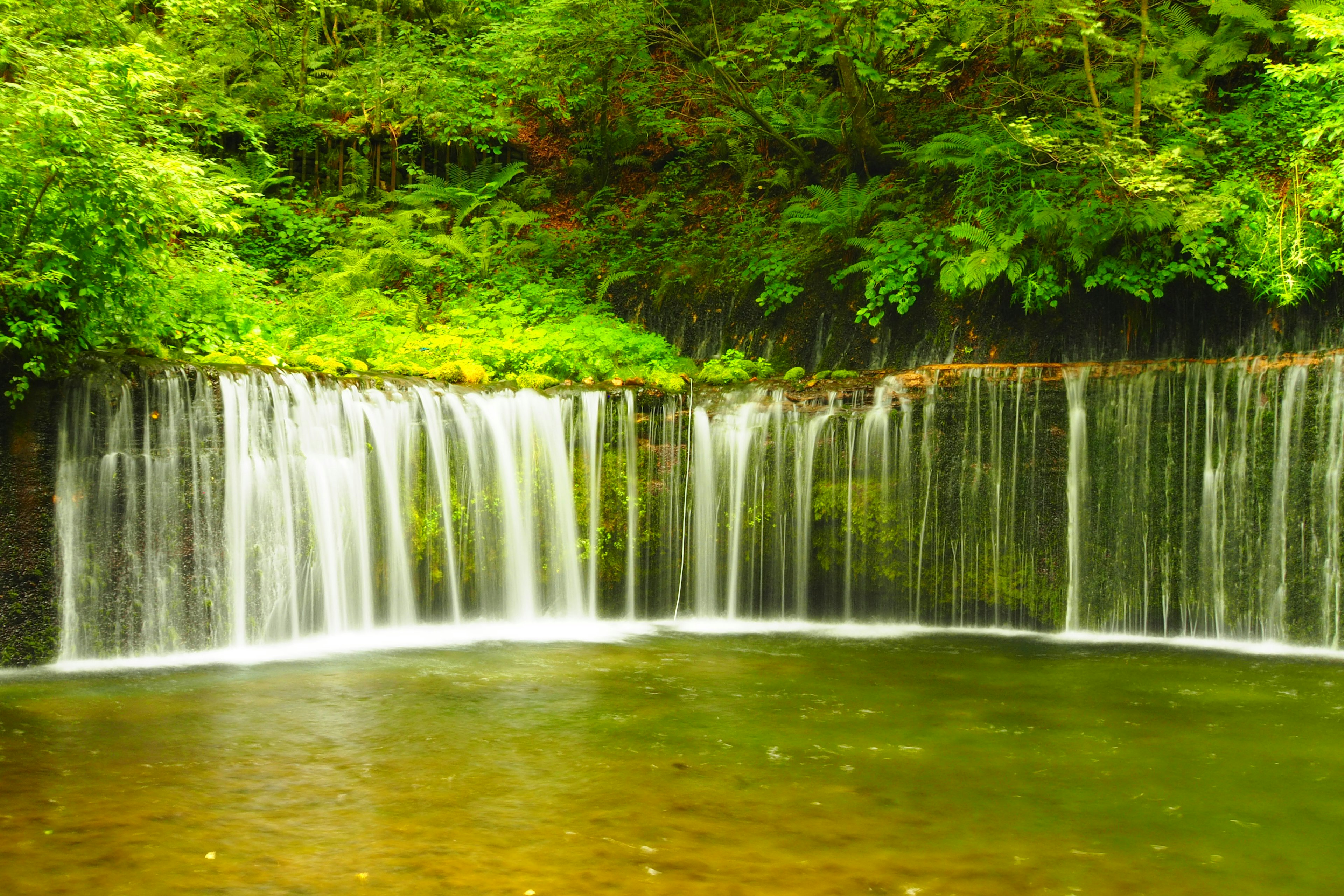 Air terjun mengalir di atas batu ke kolam tenang dikelilingi oleh pepohonan hijau yang subur