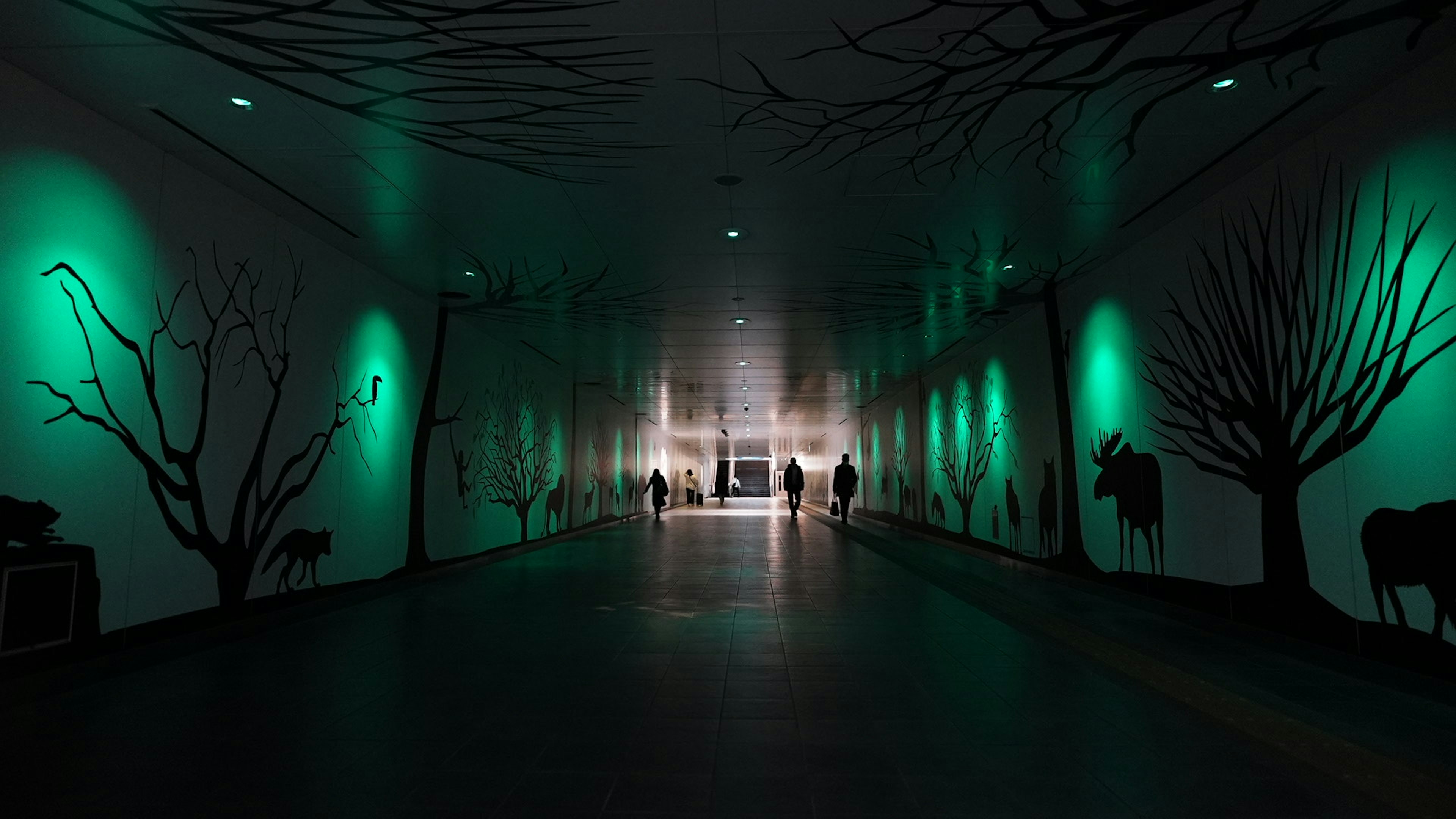 Long couloir avec un éclairage vert et des silhouettes d'arbres sur les murs