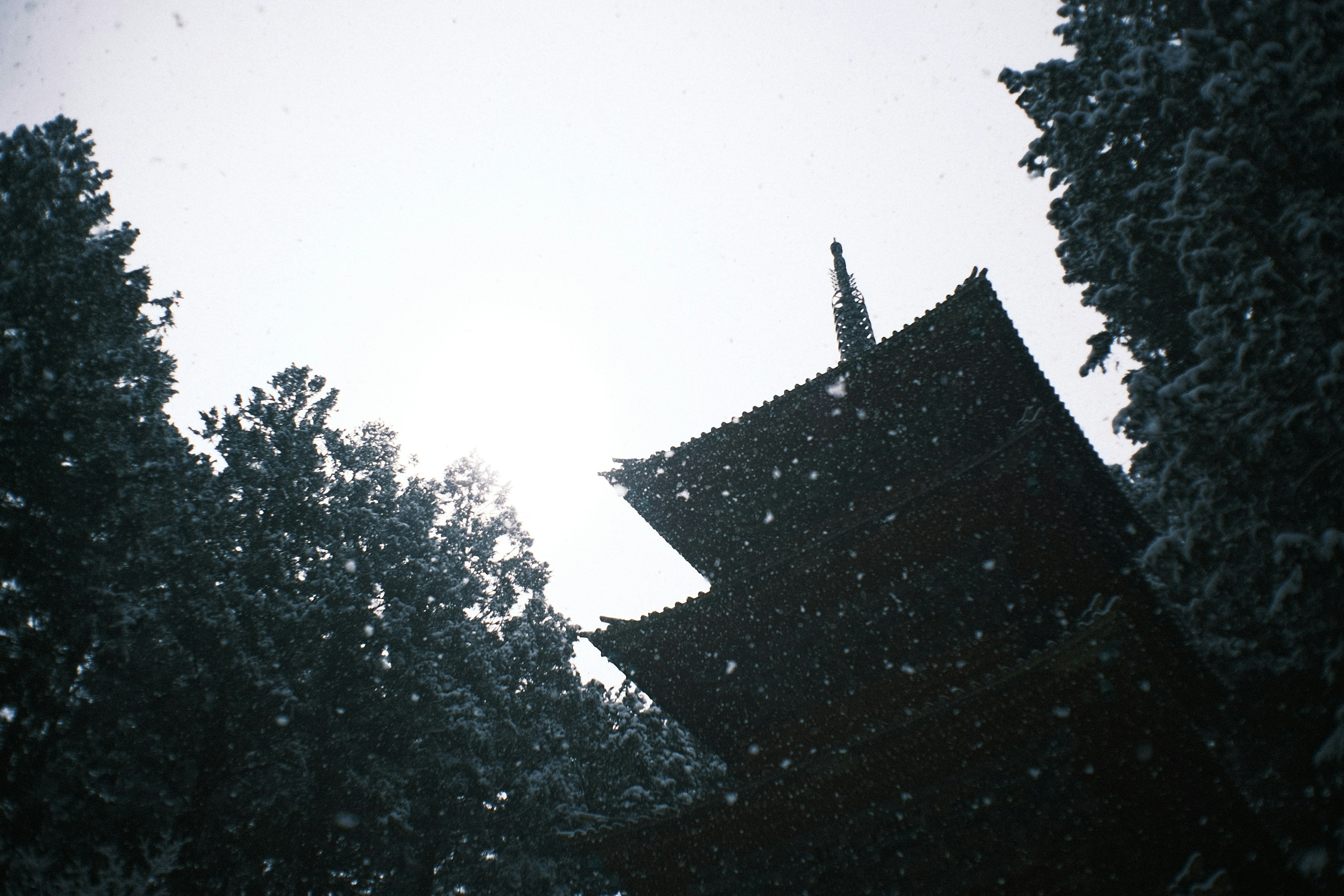 Silhouette of a Japanese pagoda surrounded by snow and trees