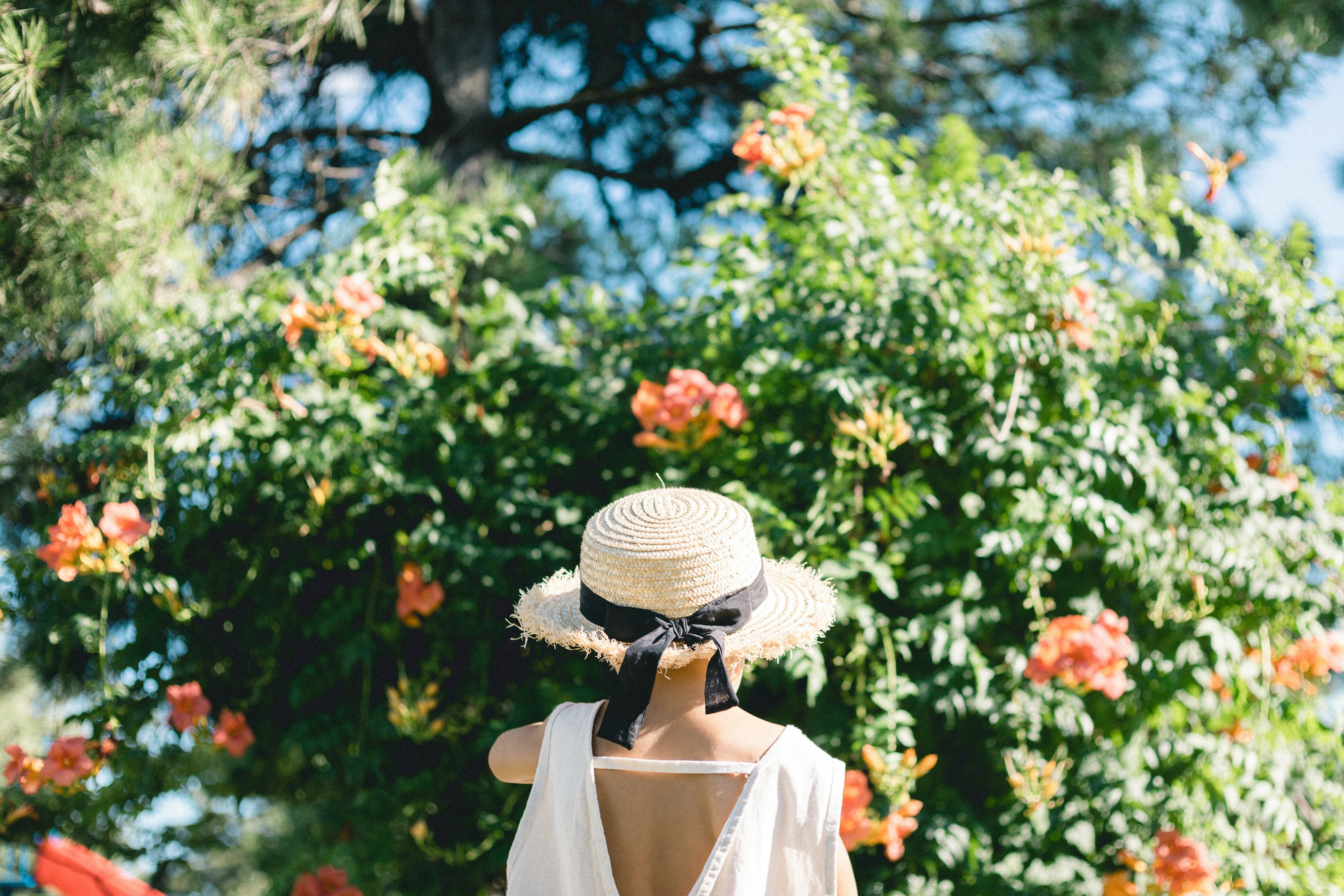 A woman standing with her back to the camera in front of blooming flowers