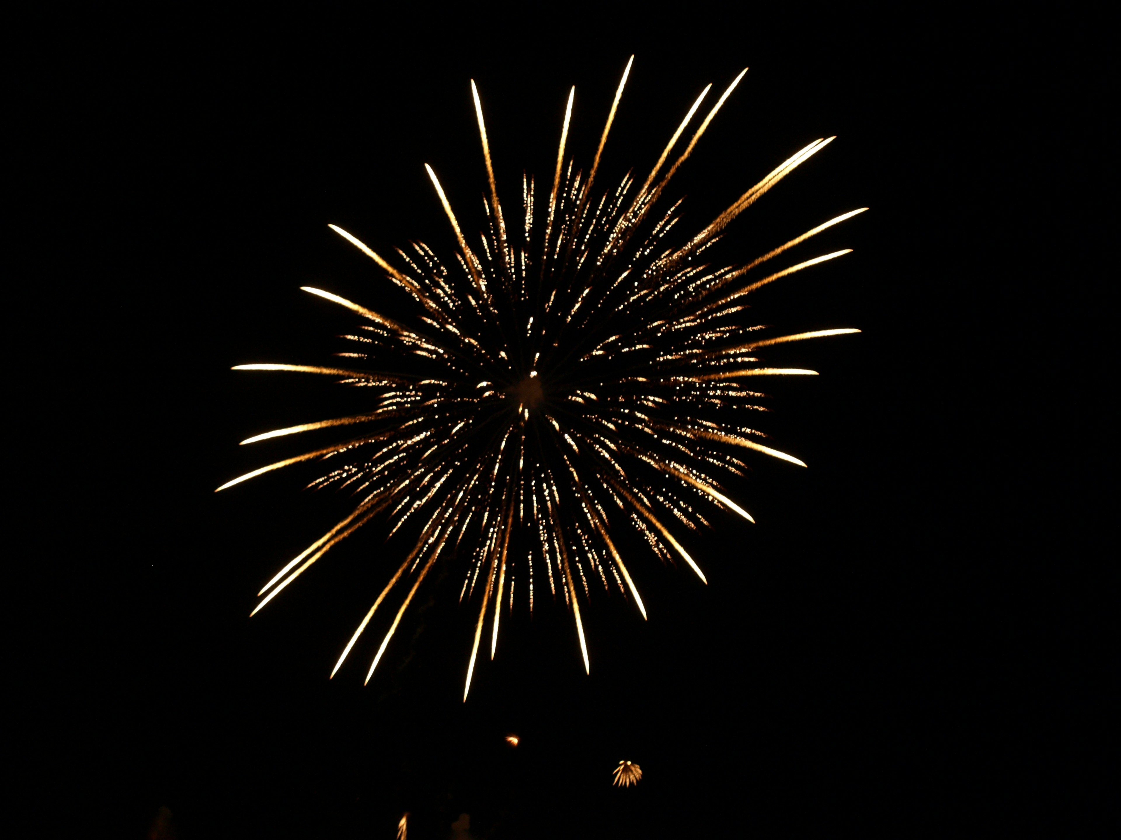 Hermosa explosión de fuegos artificiales en el cielo nocturno