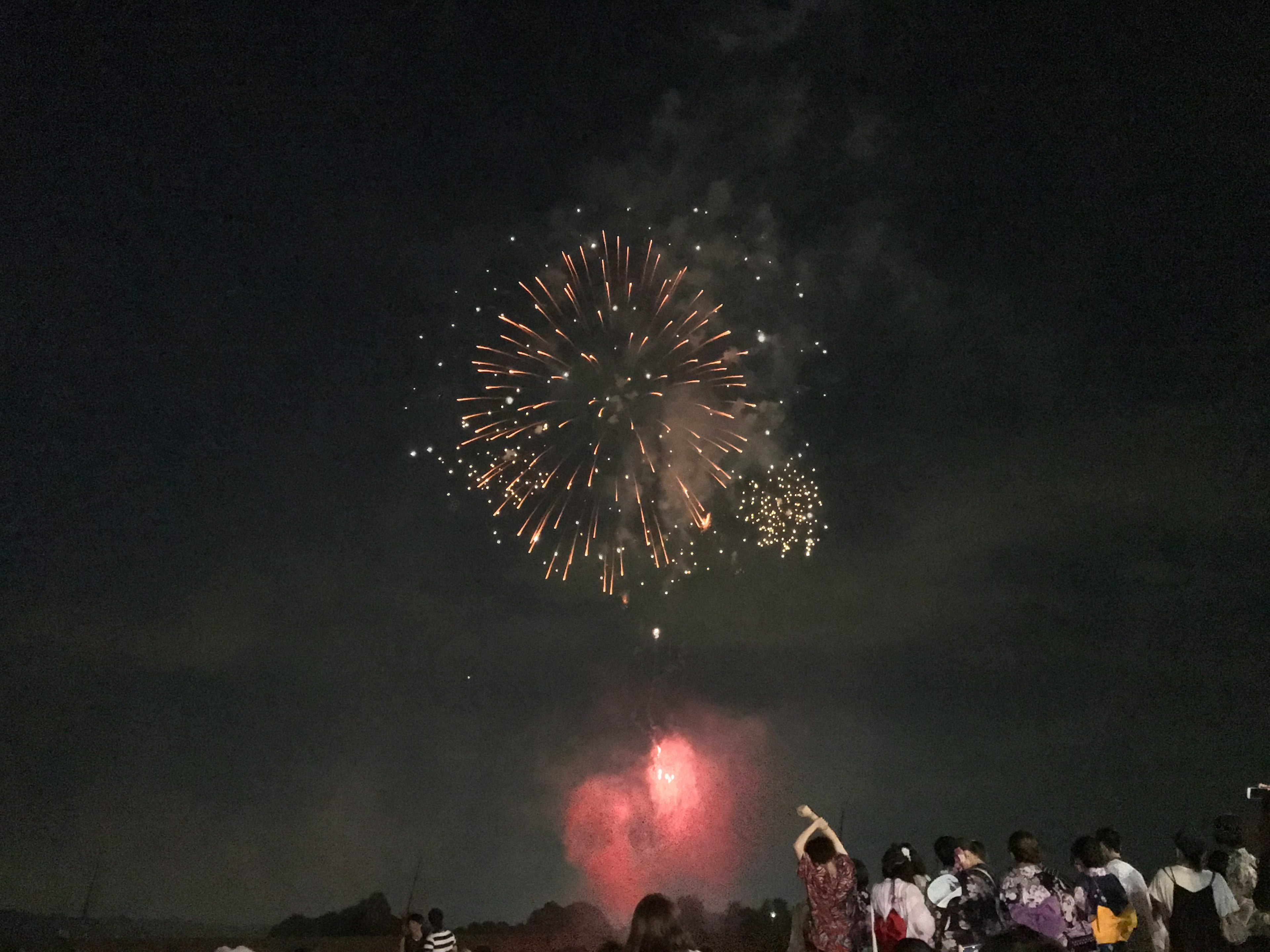 Fuochi d'artificio illuminano il cielo notturno con una folla che gode dello spettacolo