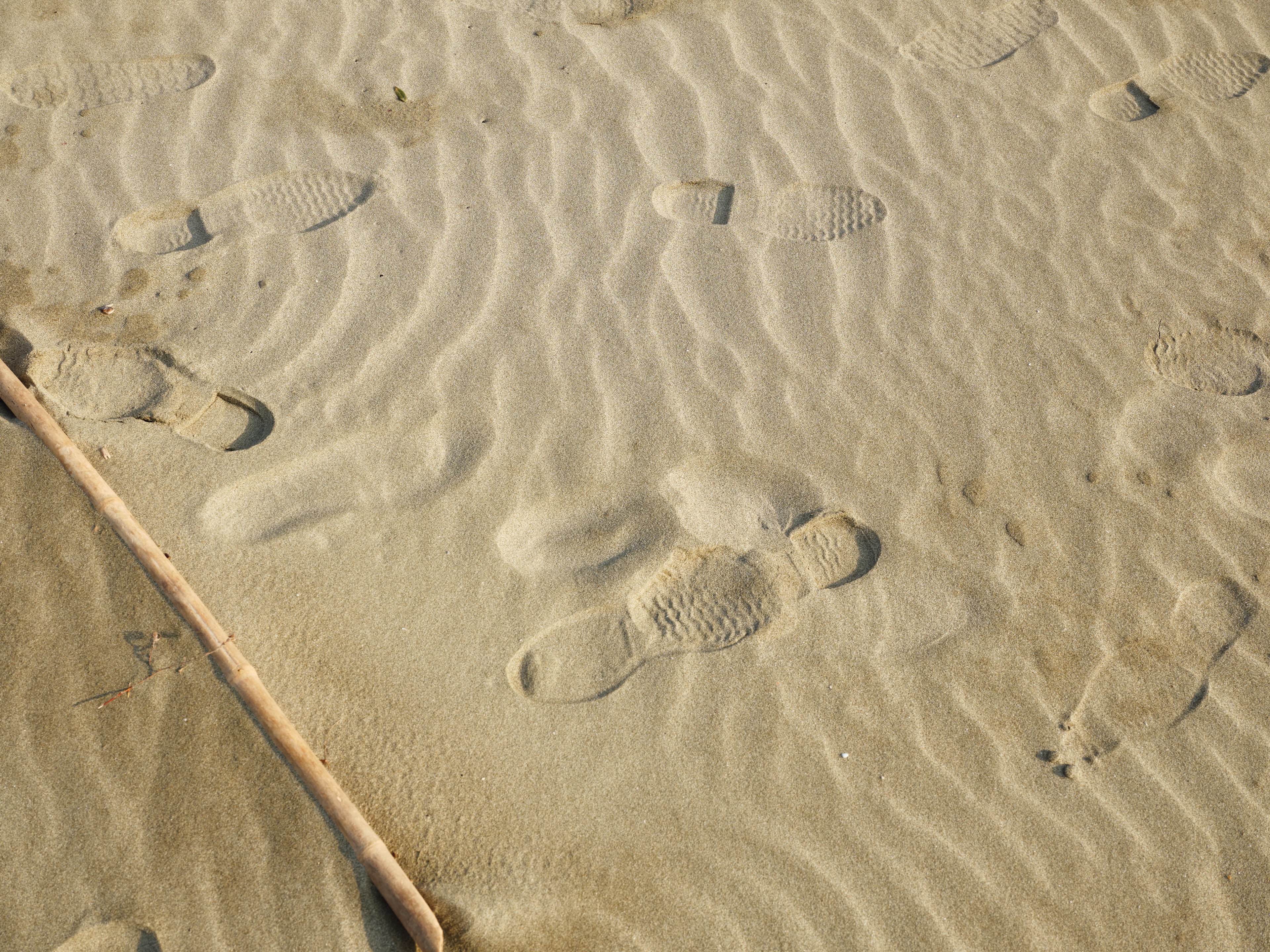 Footprints and ripples in the sand