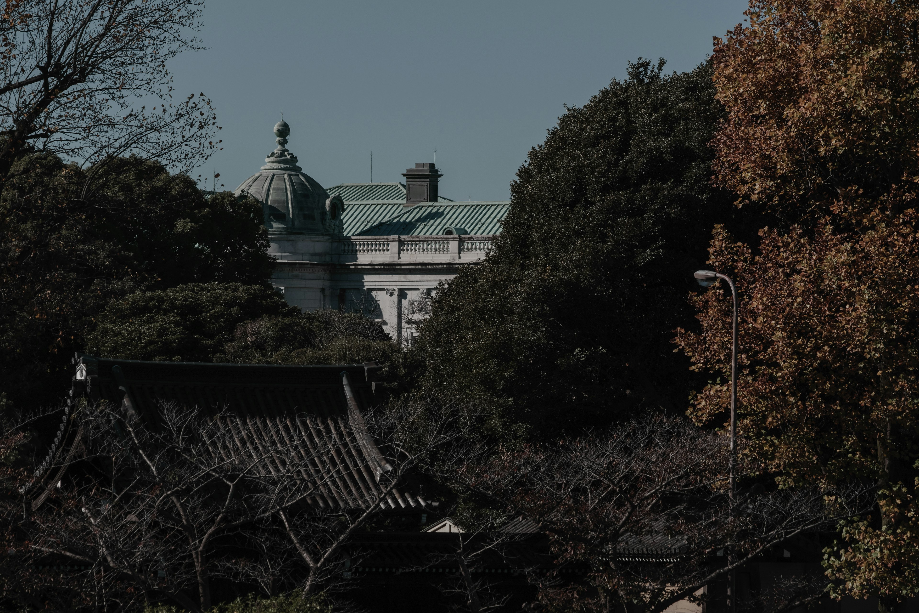 传统日本建筑与树木和秋季树叶的景观