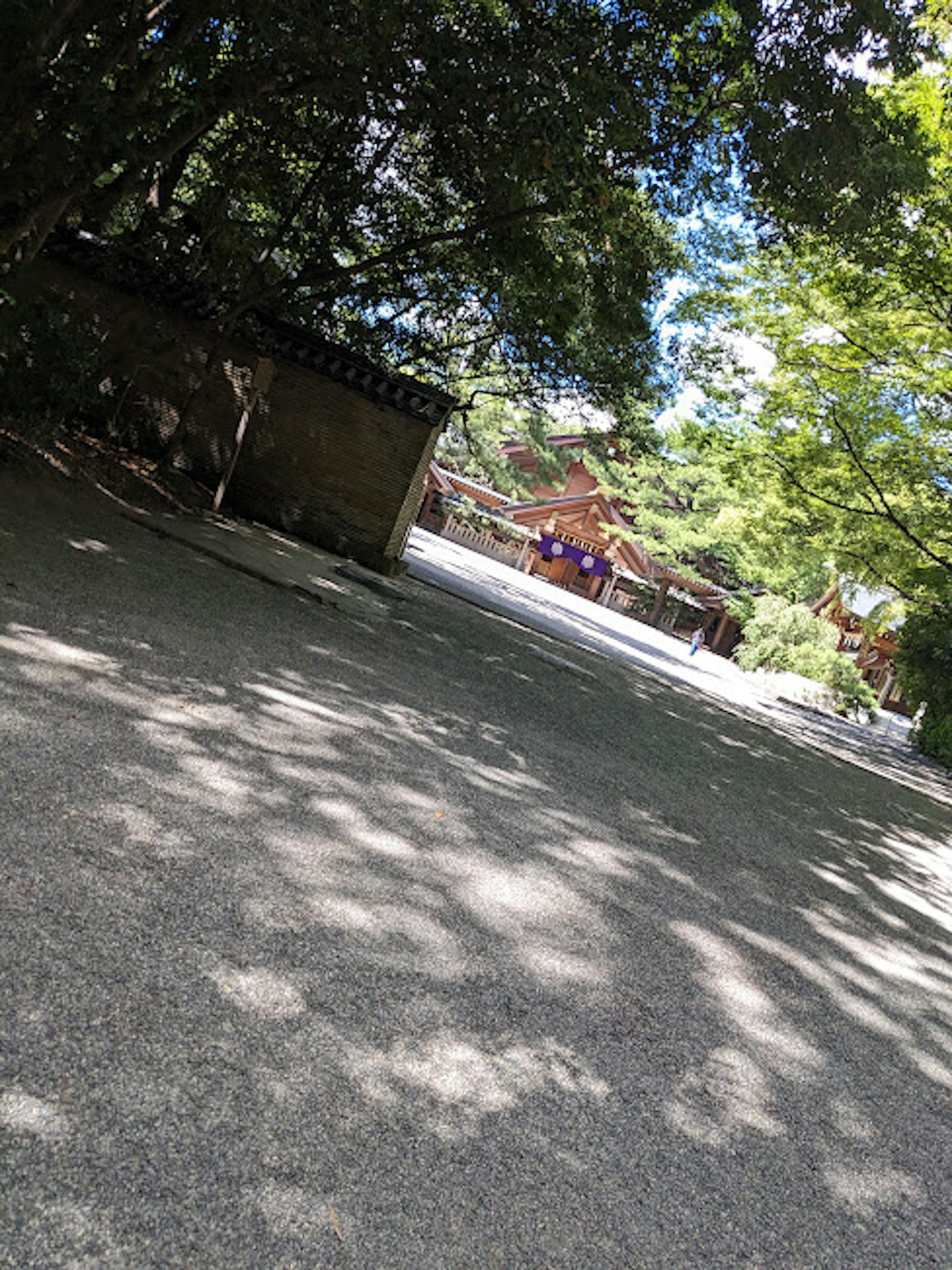 A quiet path surrounded by green trees with distant buildings