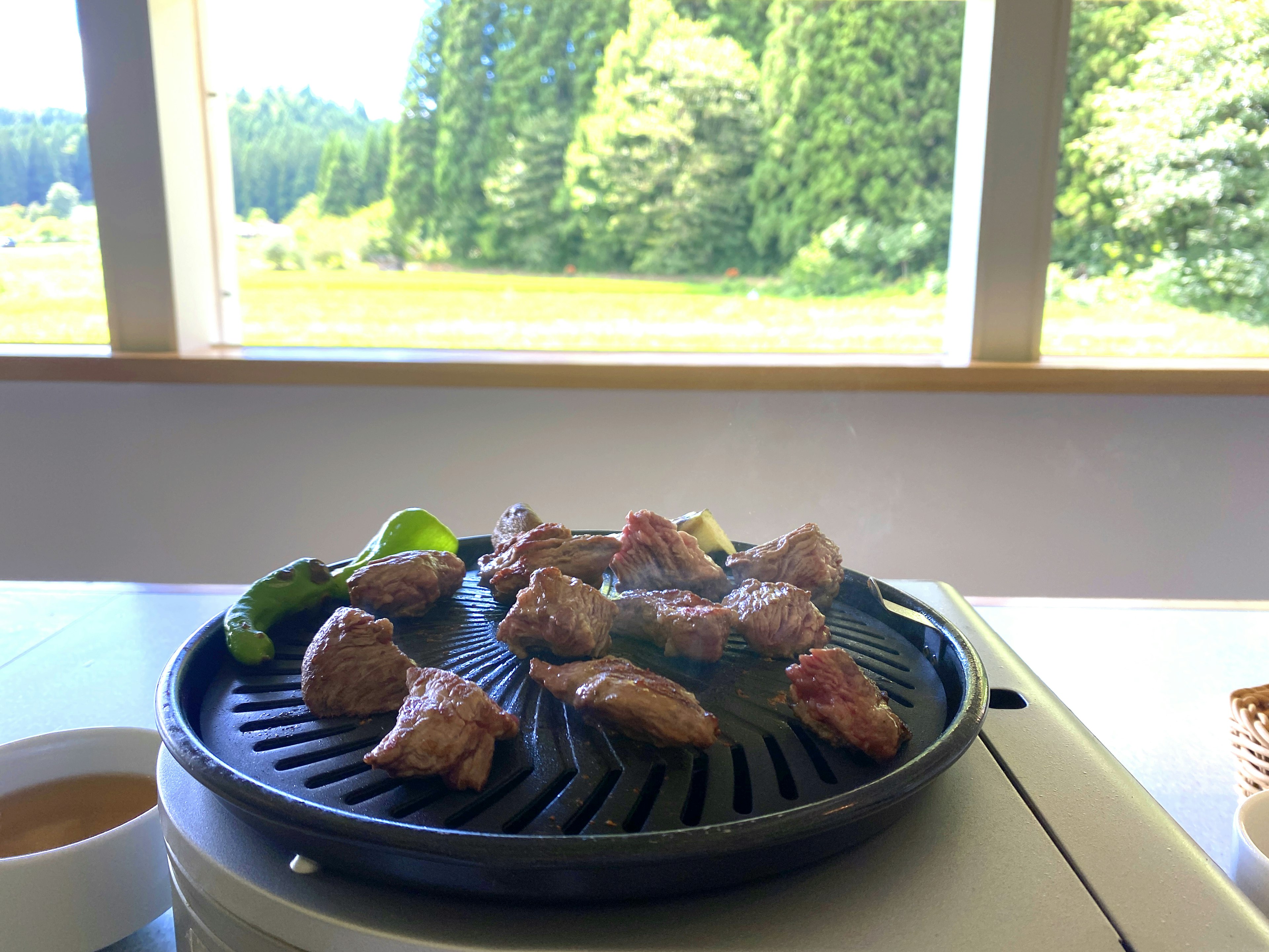 Grilled meat and vegetables on a plate with a scenic view of greenery