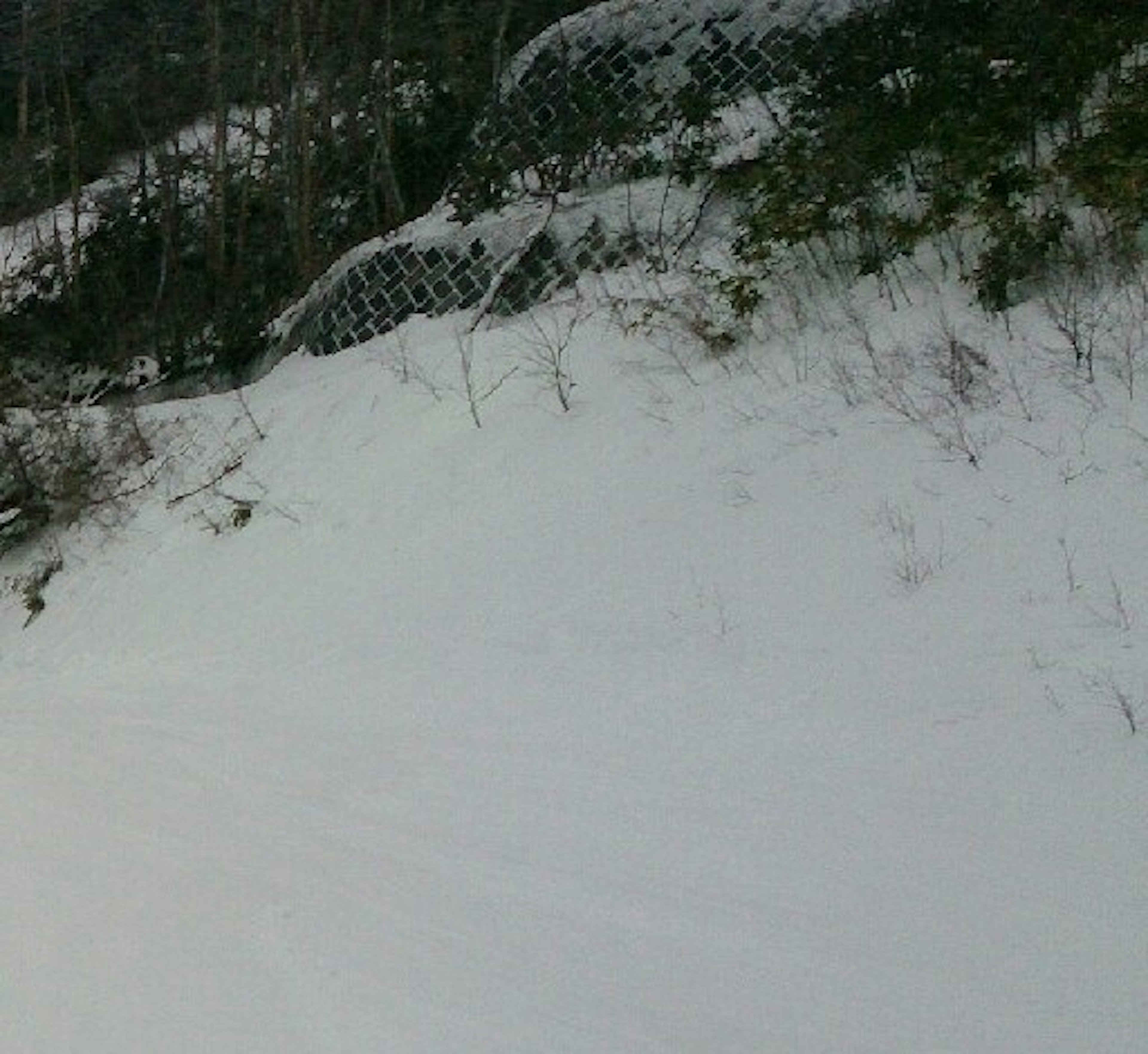 雪に覆われた風景と岩の表面