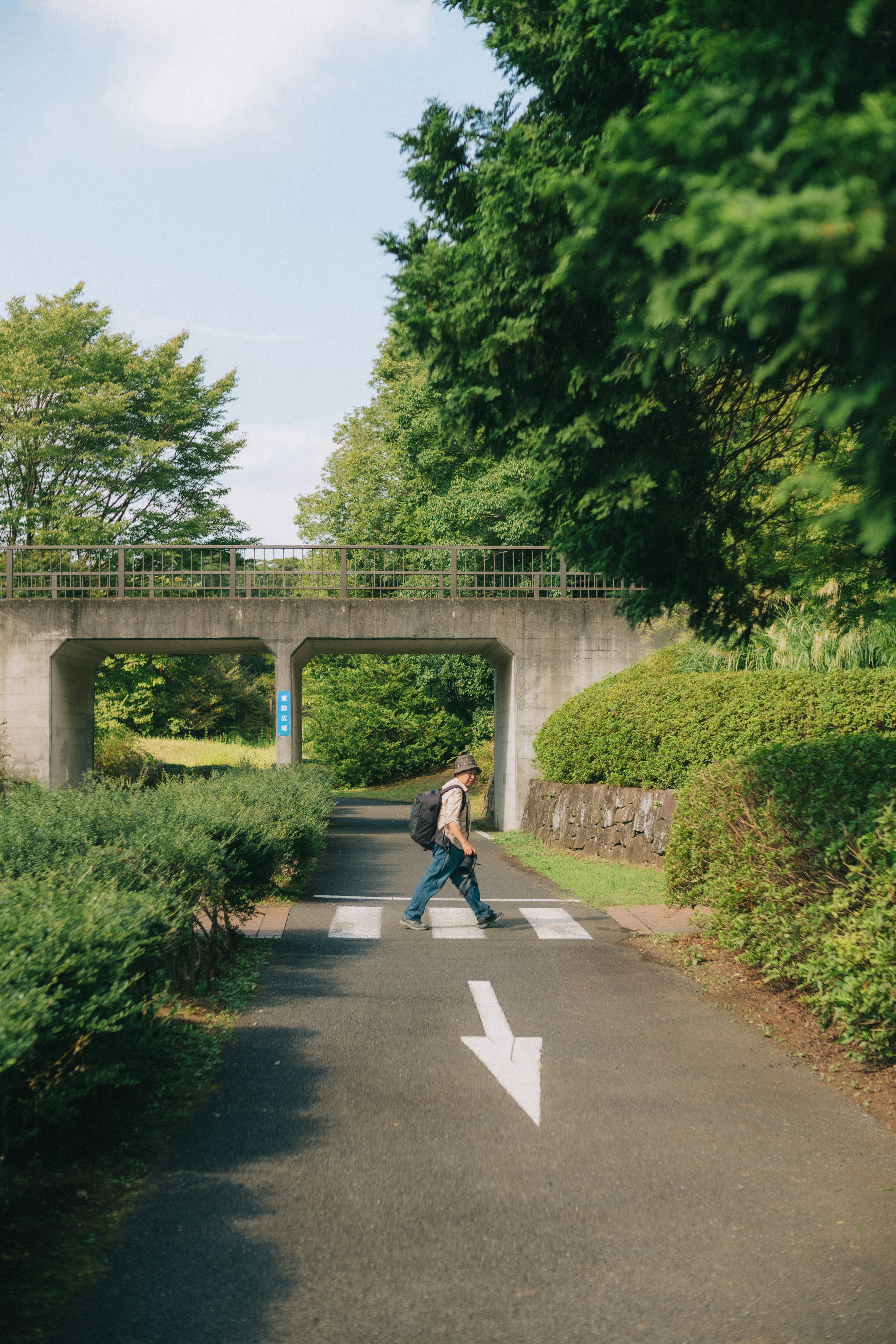 緑の茂みの中を歩く人が見える道と矢印の標識