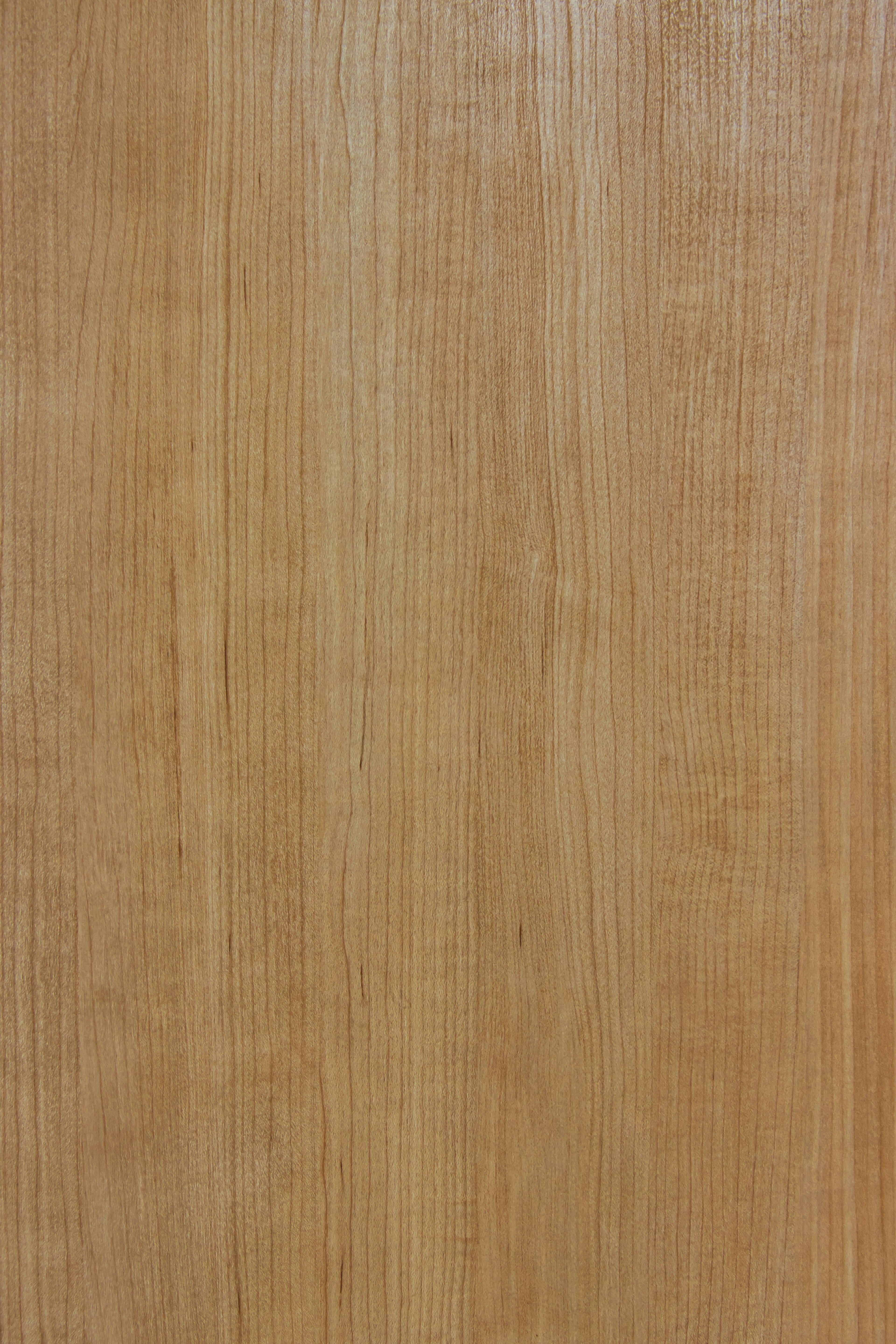 Light wood surface with a grain texture