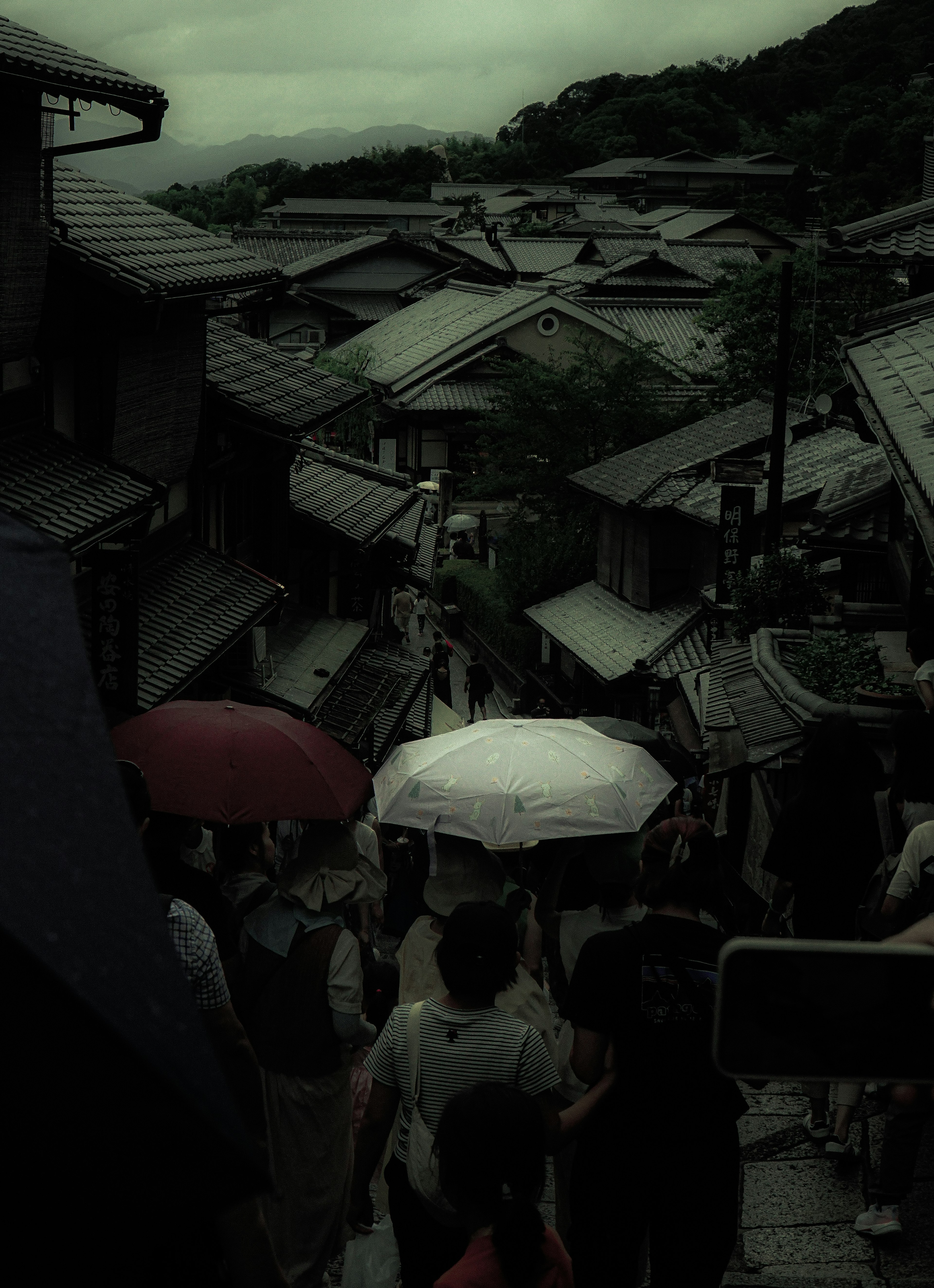 Crowd with umbrellas walking through a historic town with rooftops