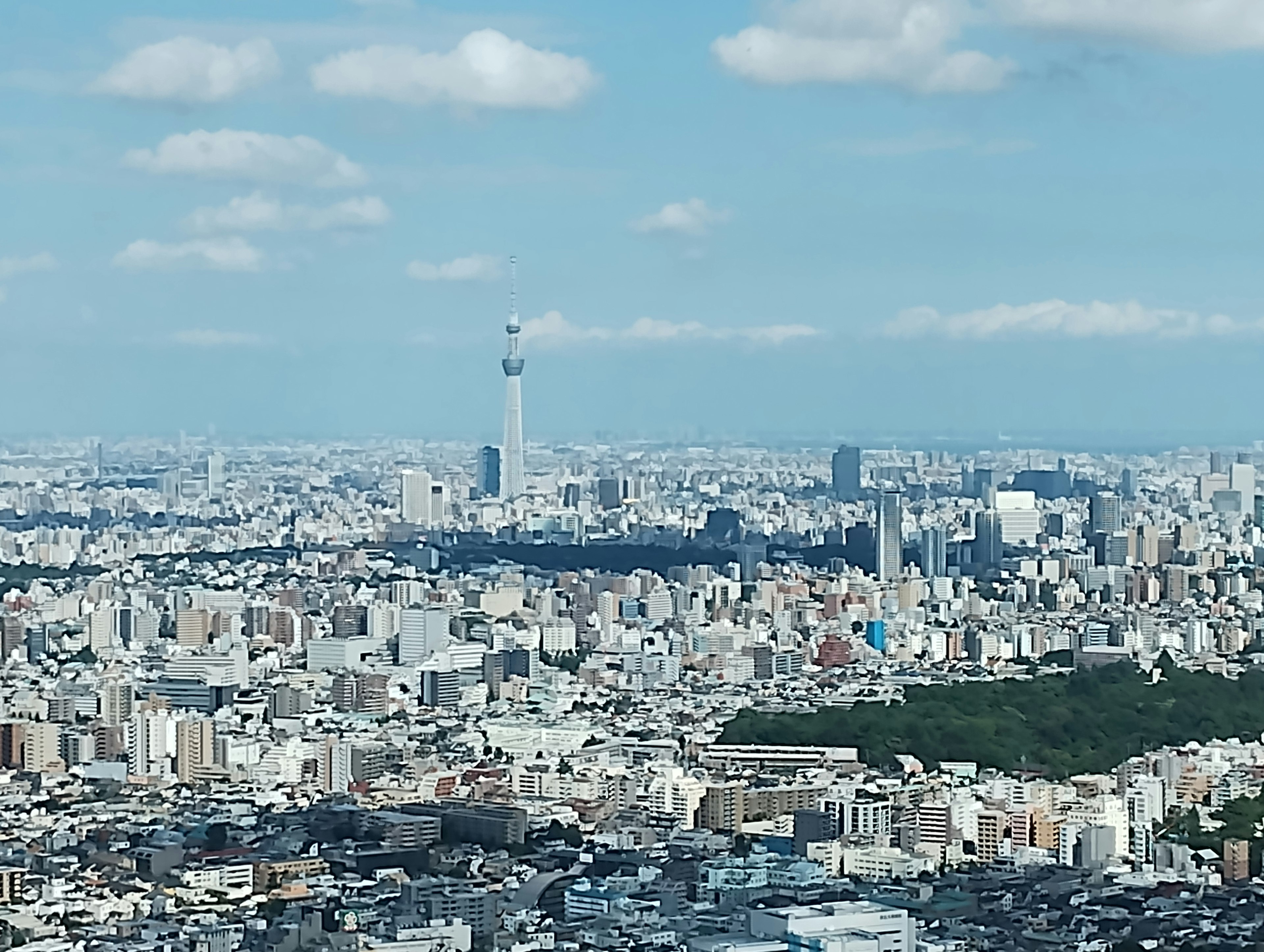 도쿄 시내 전경과 보이는 도쿄 스카이트리