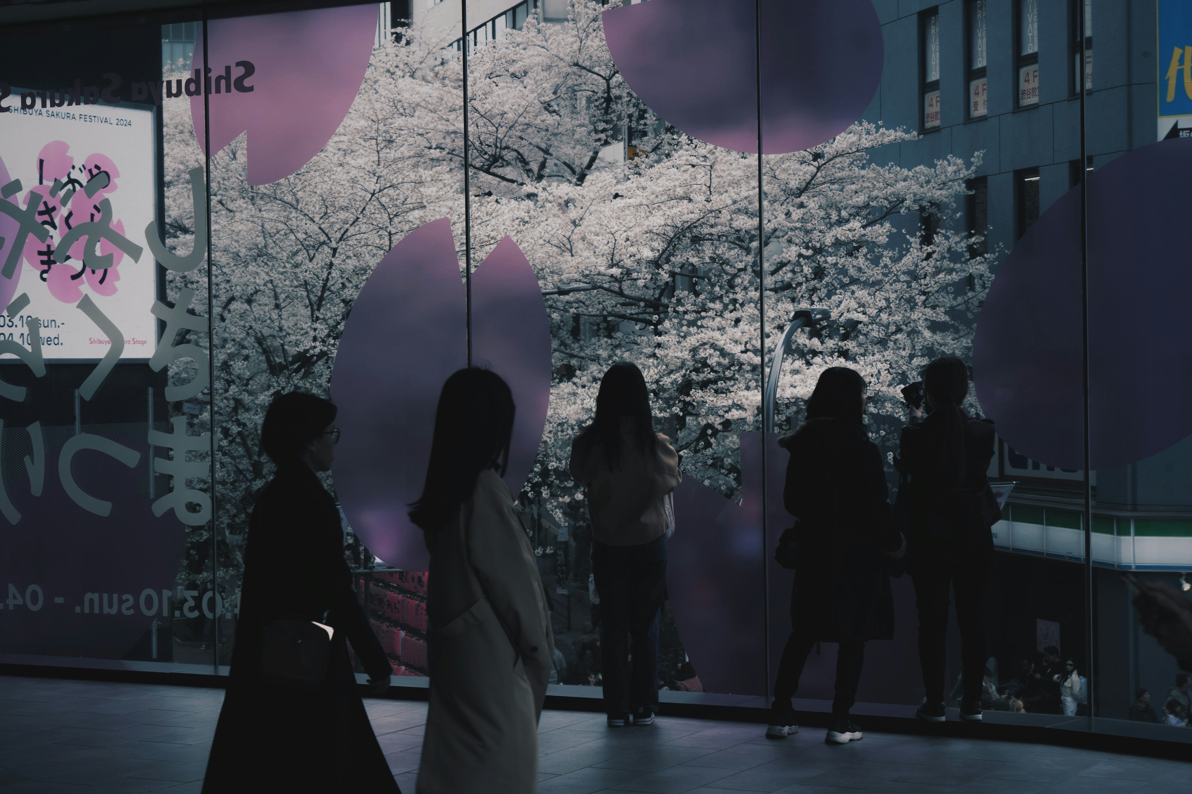 Silhouettes de personnes devant une fresque de cerisiers dans un cadre urbain