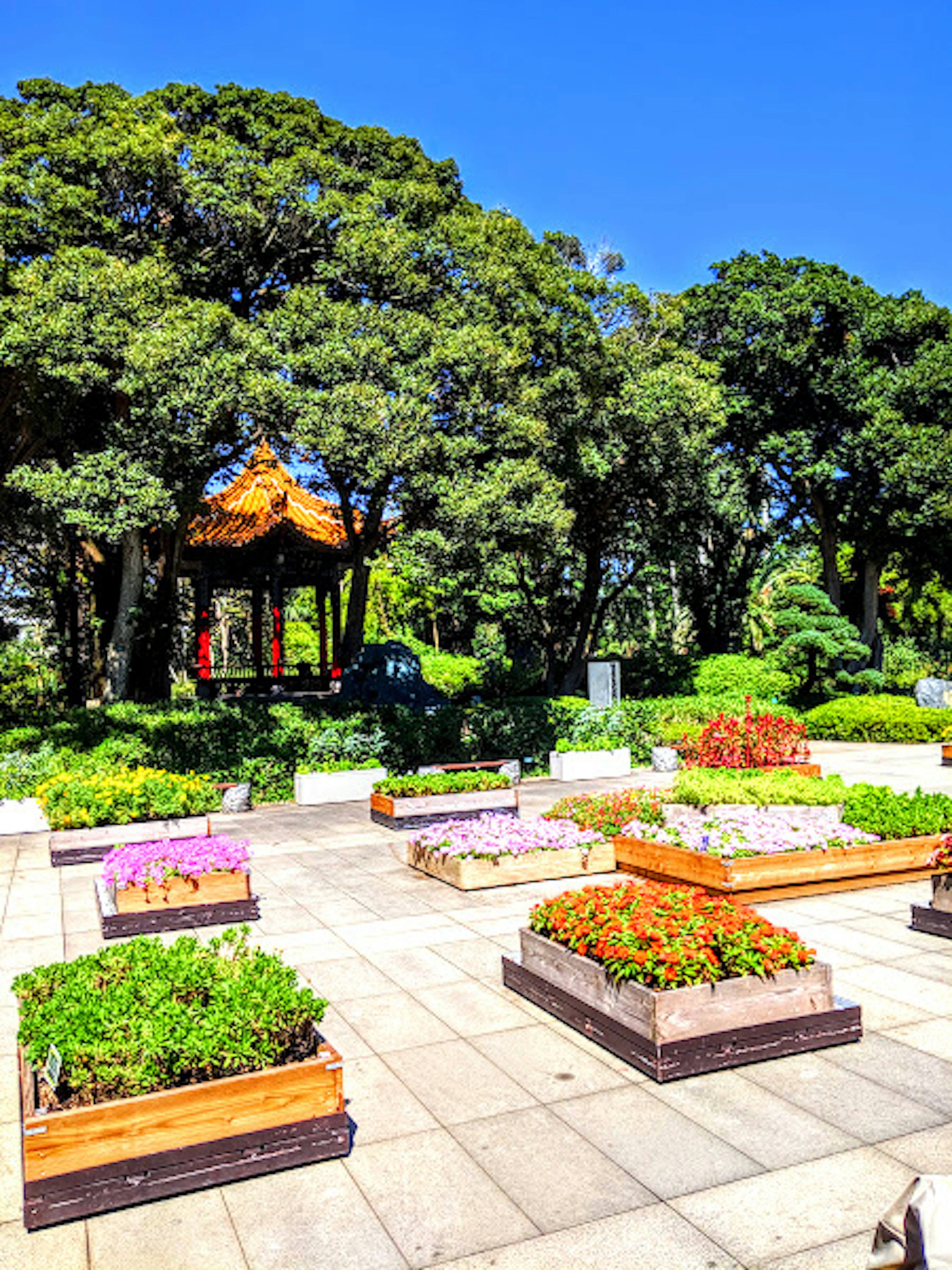 美しい花壇と緑の木々が広がる公園の風景