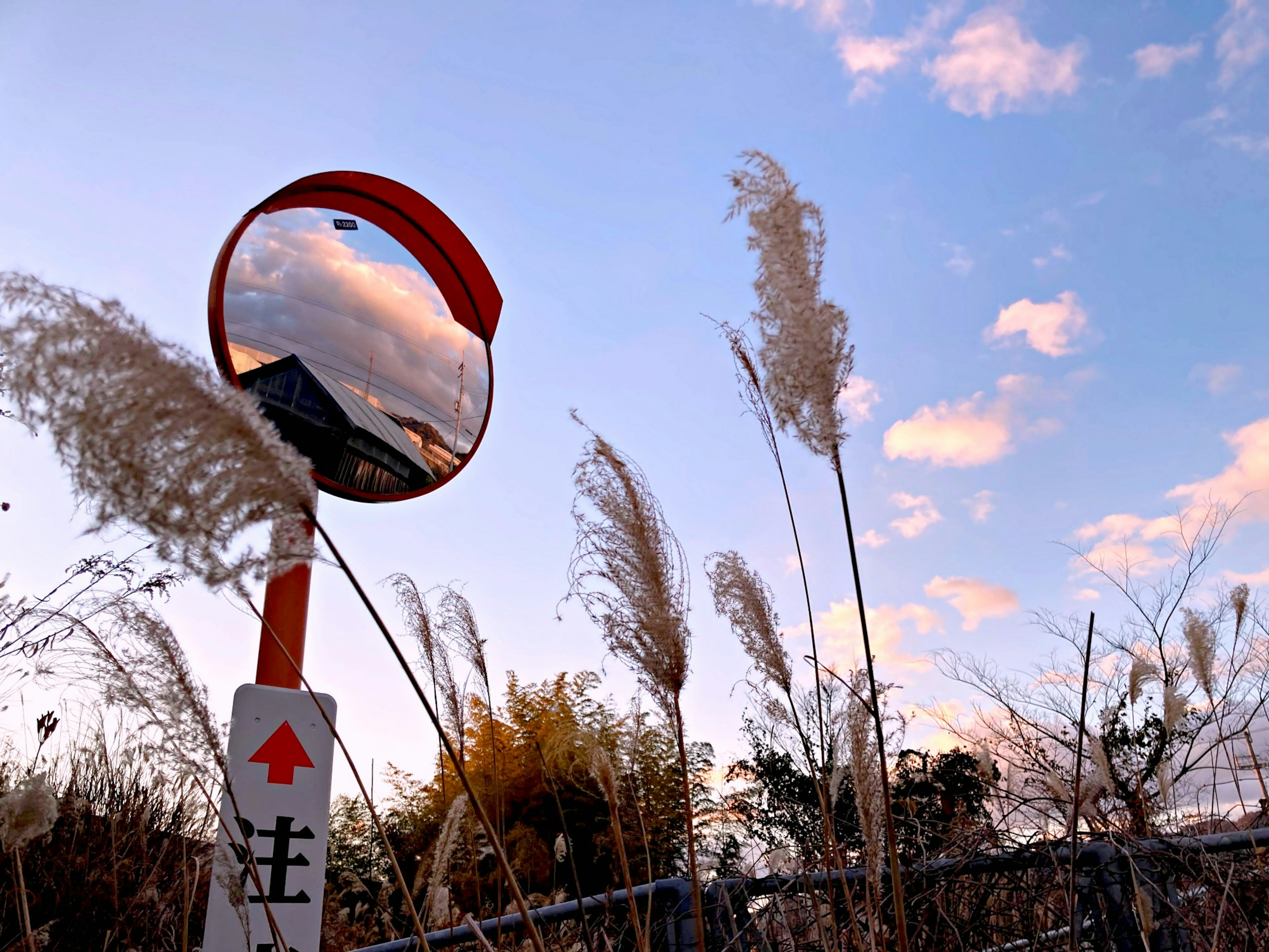 Red mirror reflecting sunset sky and tall grass