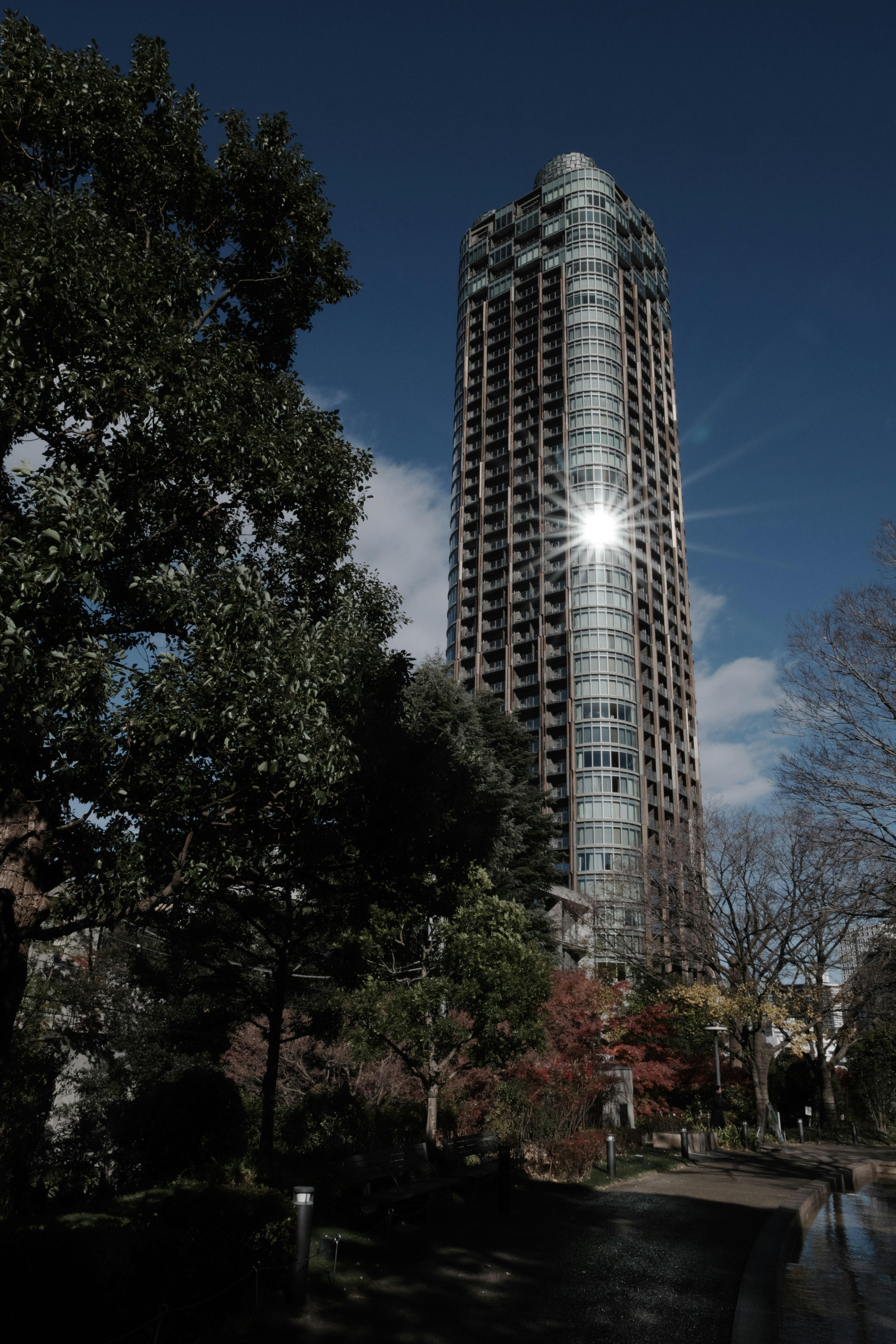 高層ビルの反射と周囲の緑豊かな木々