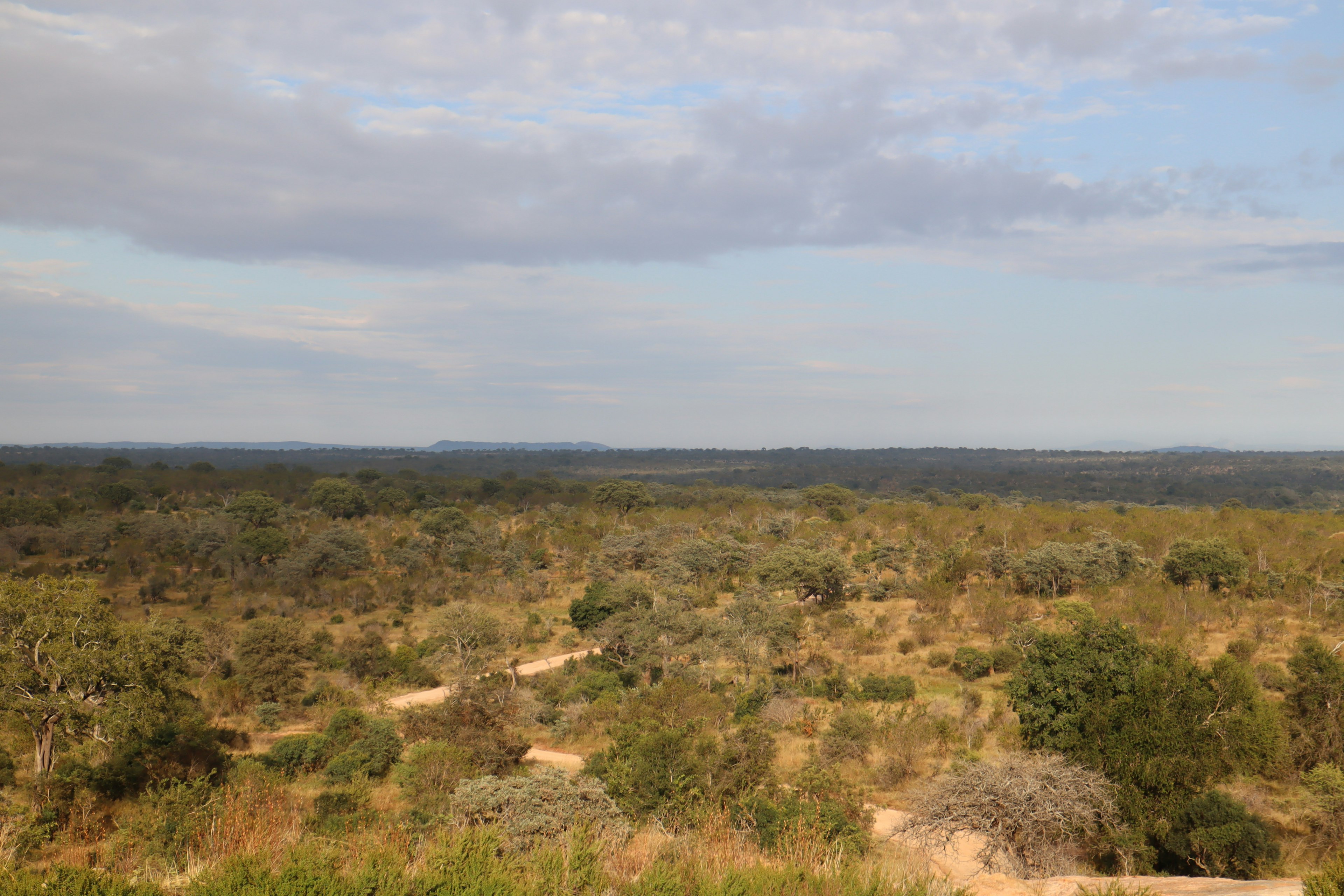 Paysage vaste avec des prairies et des buissons sous un ciel bleu avec des nuages