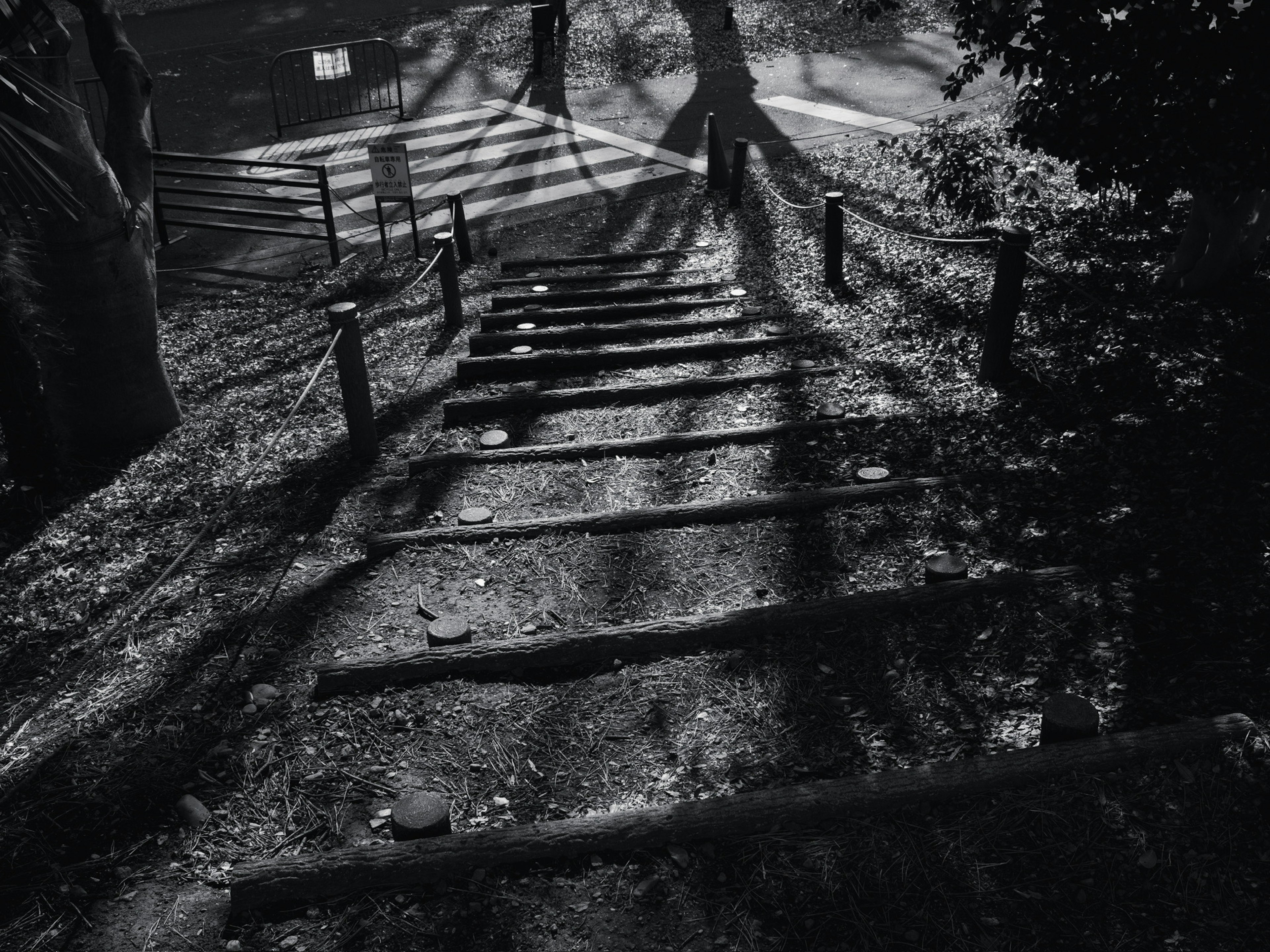 Image en noir et blanc d'un escalier avec des ombres