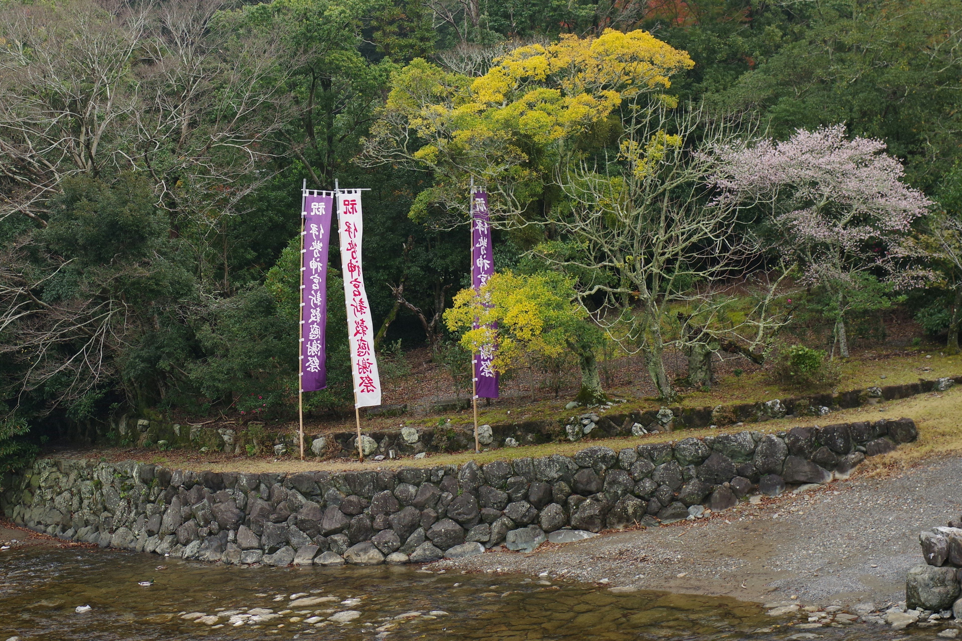 Végétation luxuriante avec des bannières violettes et des arbres colorés près d'un mur en pierre