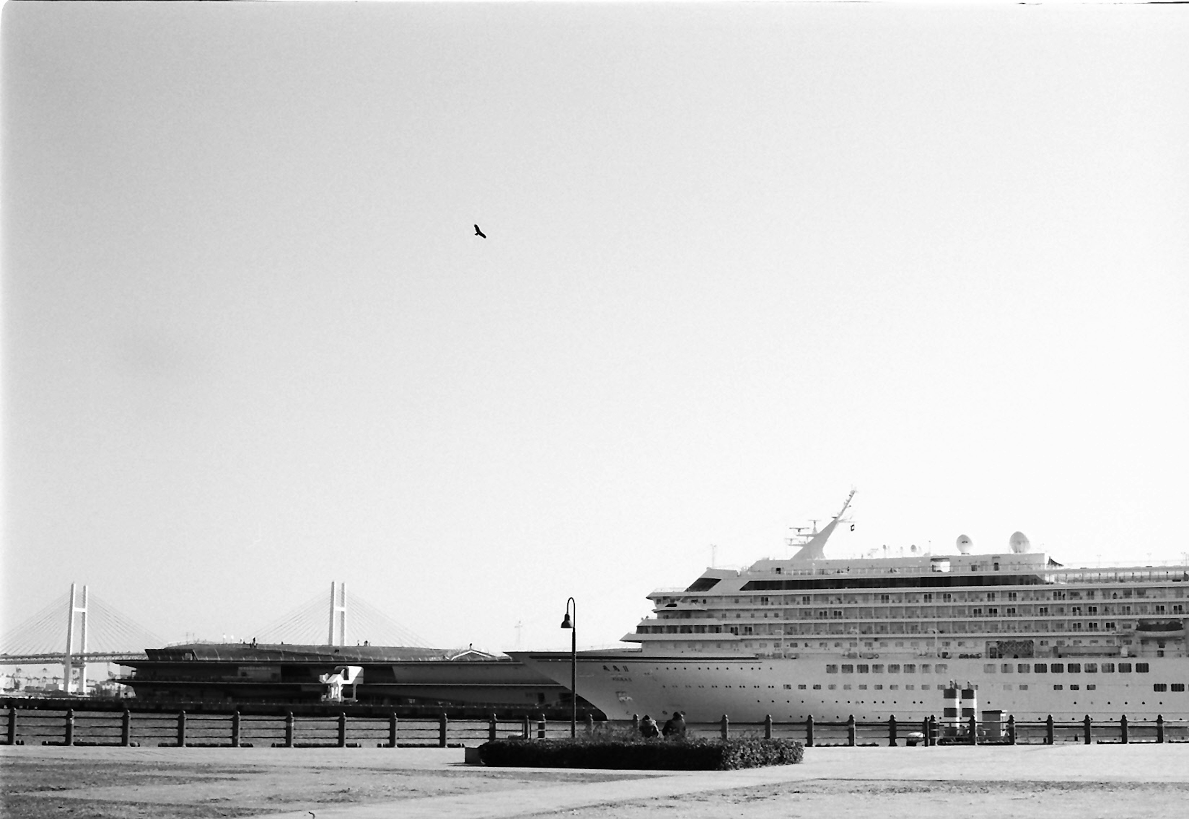 Harbor scene featuring a docked cruise ship