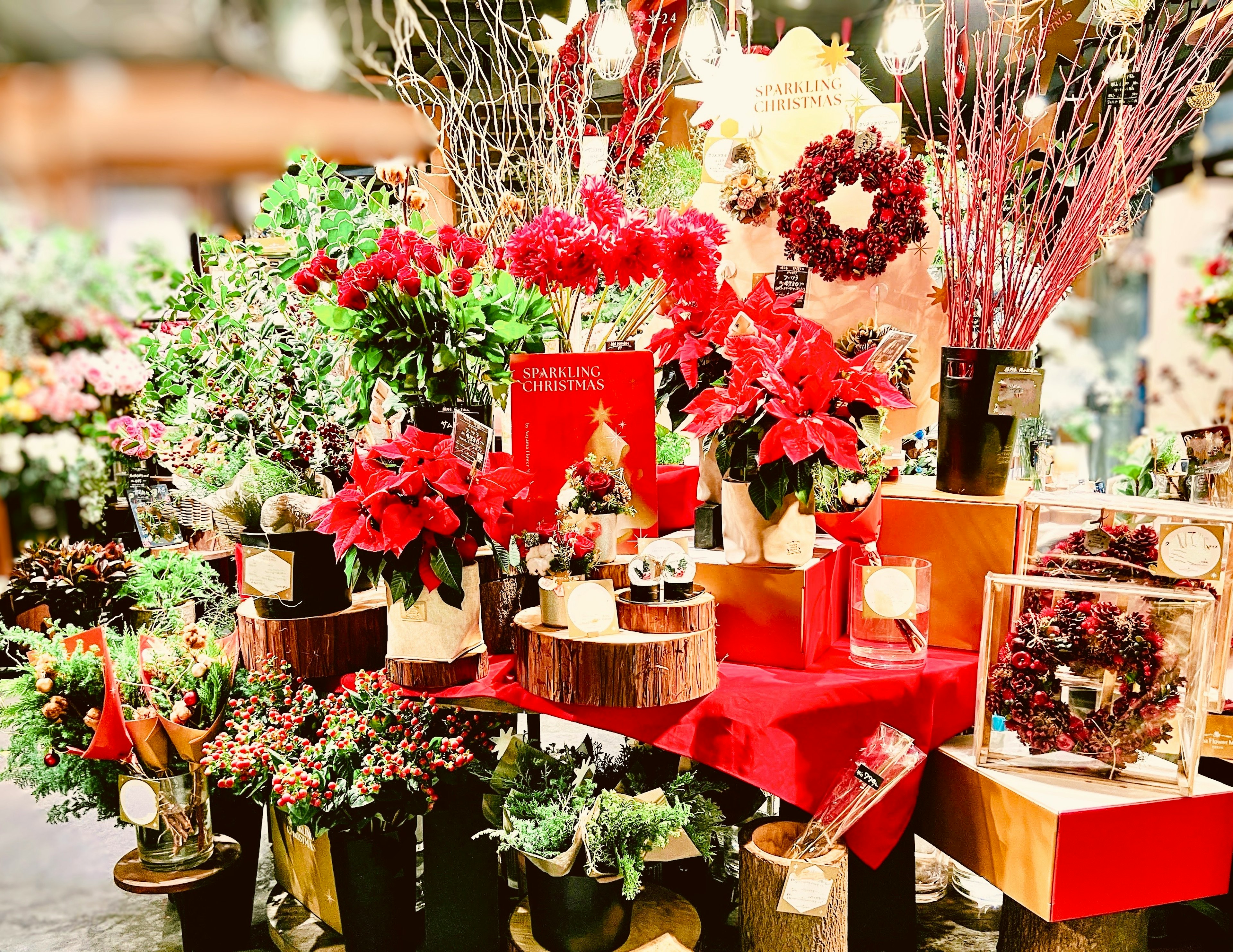 Bunte Blumen und rote Dekorationen in einer lebhaften Blumenausstellung