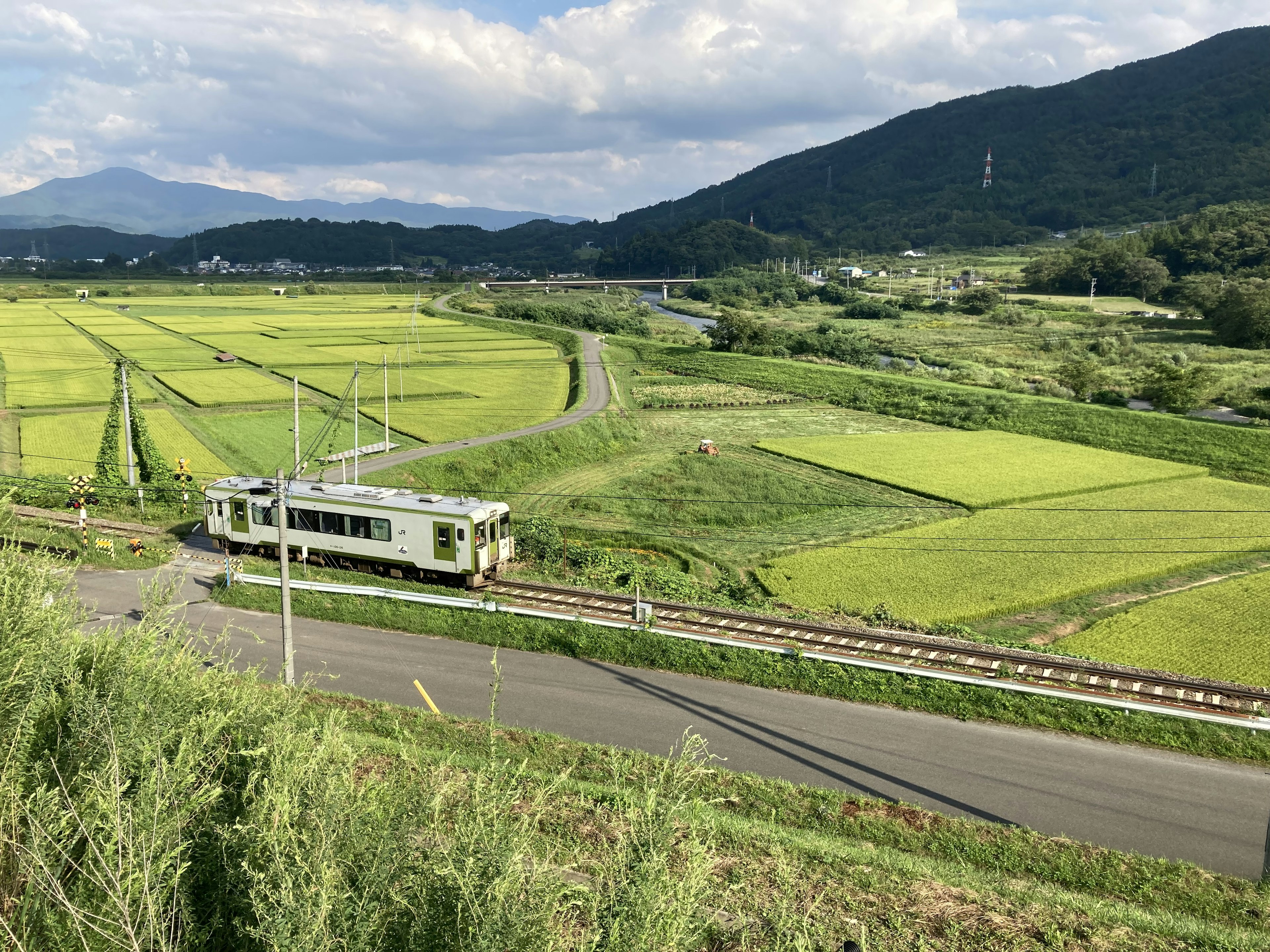 綠色列車穿過郁郁蔥蔥的稻田，藍天映襯