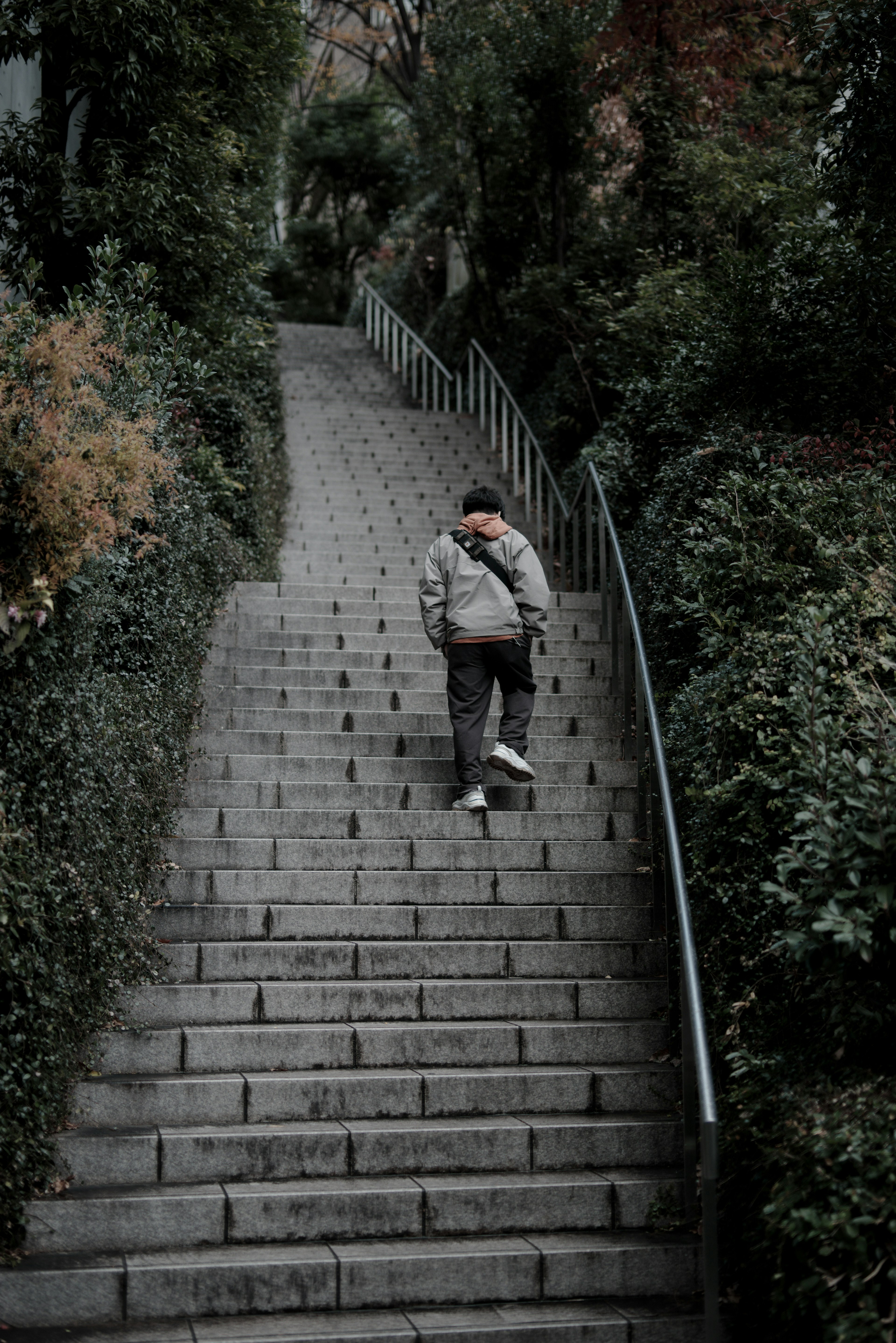 A person walking up a stone staircase surrounded by greenery