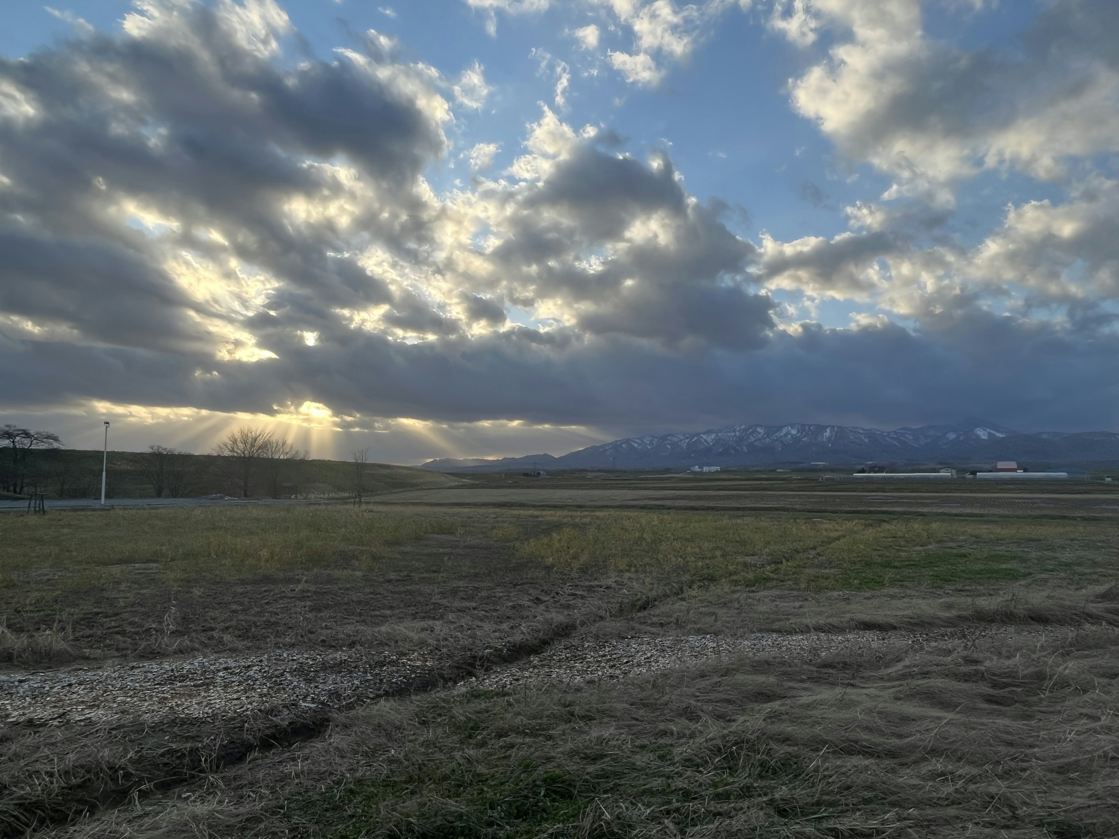 広がる草原と壮大な雲の空の風景