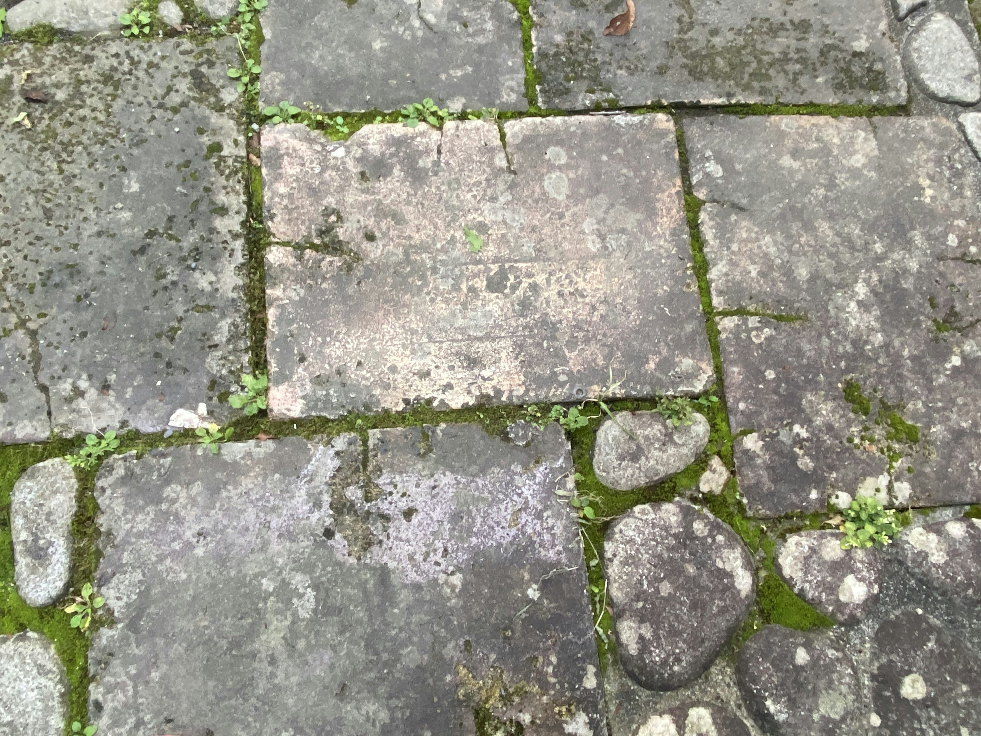 Old stone pavement with moss growing between the stones