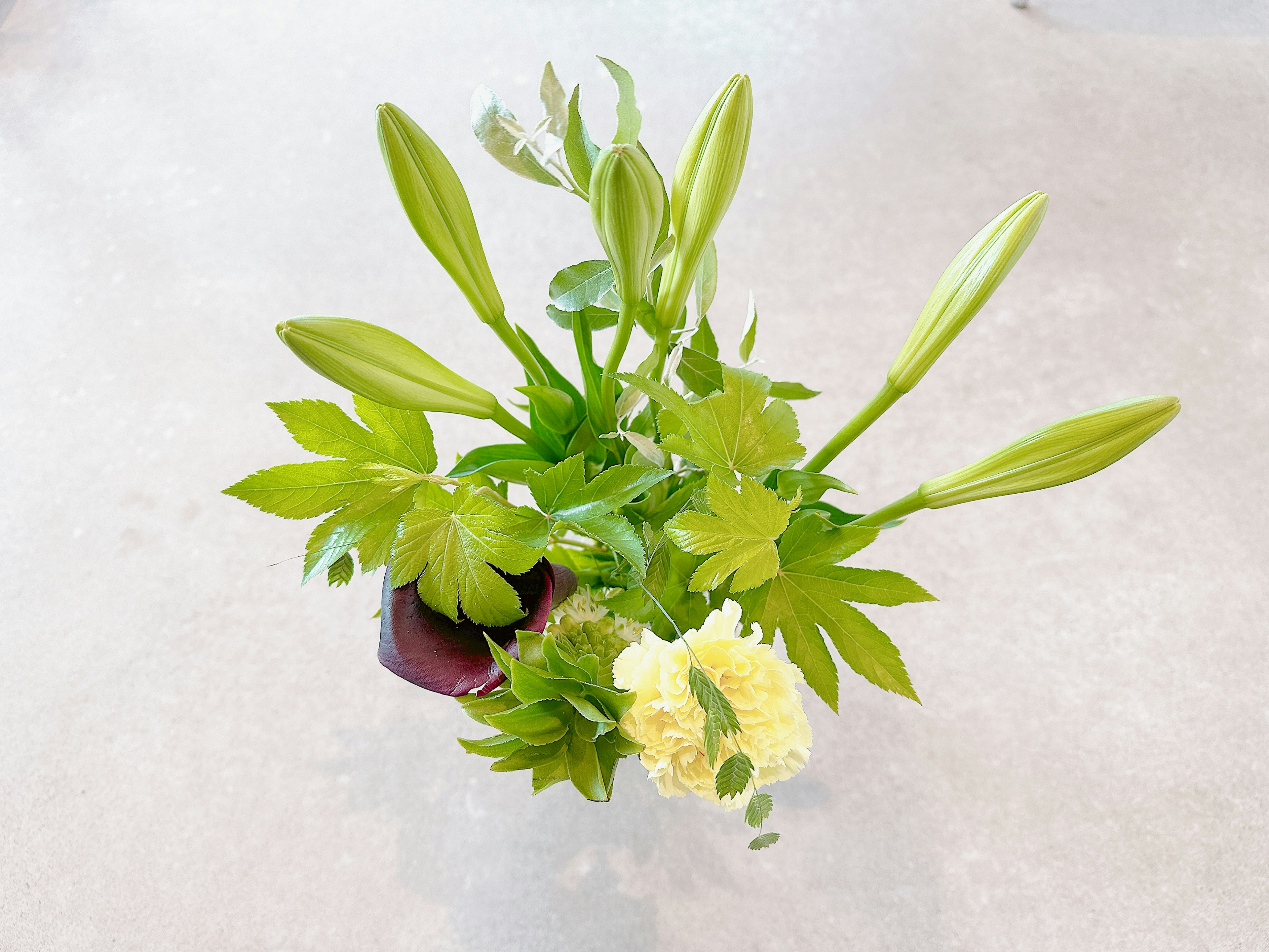 緑の葉とつぼみの花がある植物の上からの視点